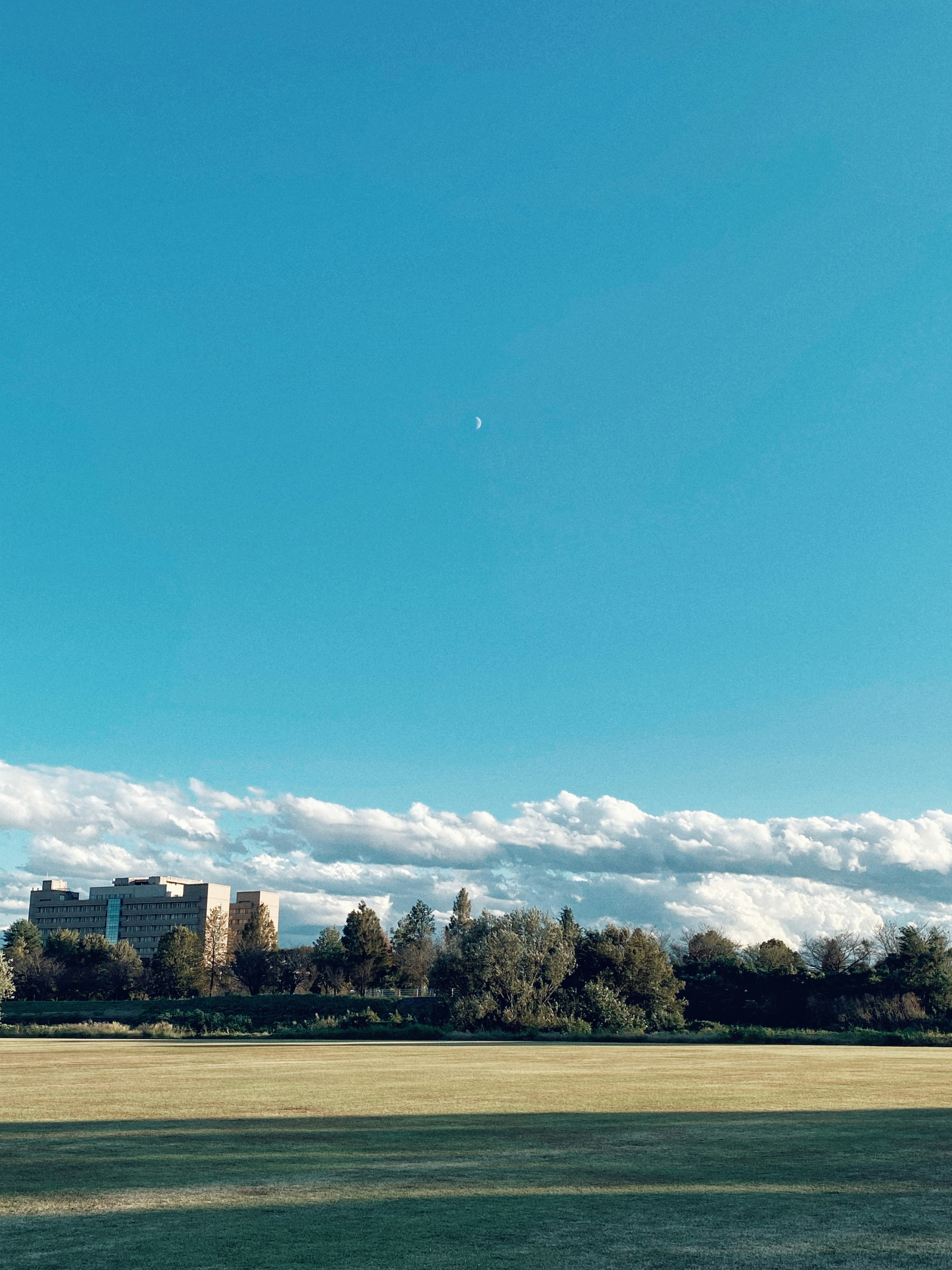広い芝生と湖畔の向こうに並ぶ建物と木々の風景
