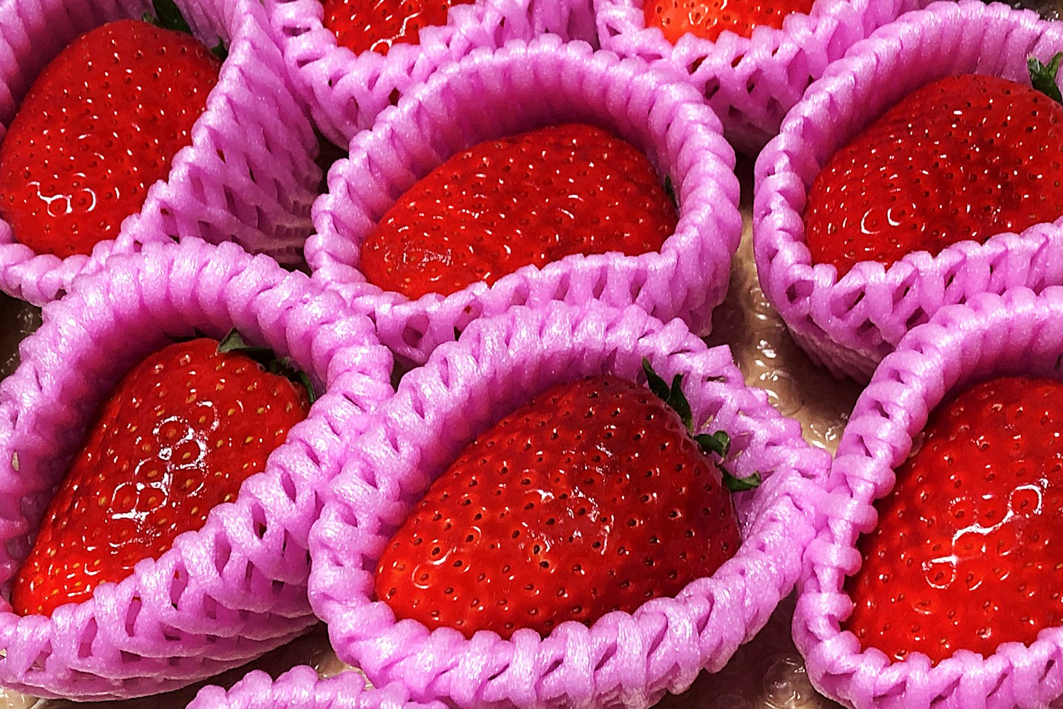 Close-up of fresh strawberries in pink cups