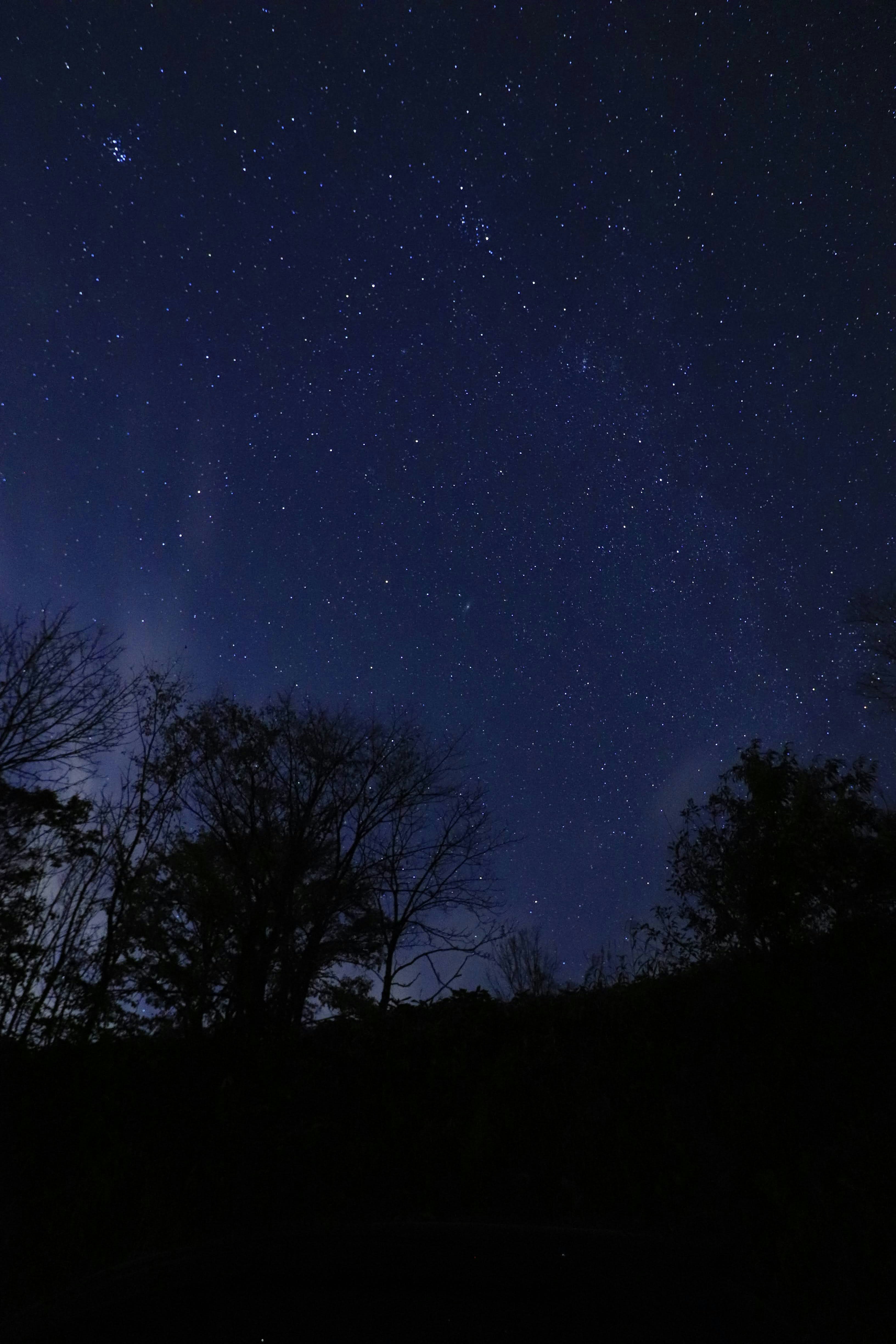 夜空に広がる星とシルエットの木々