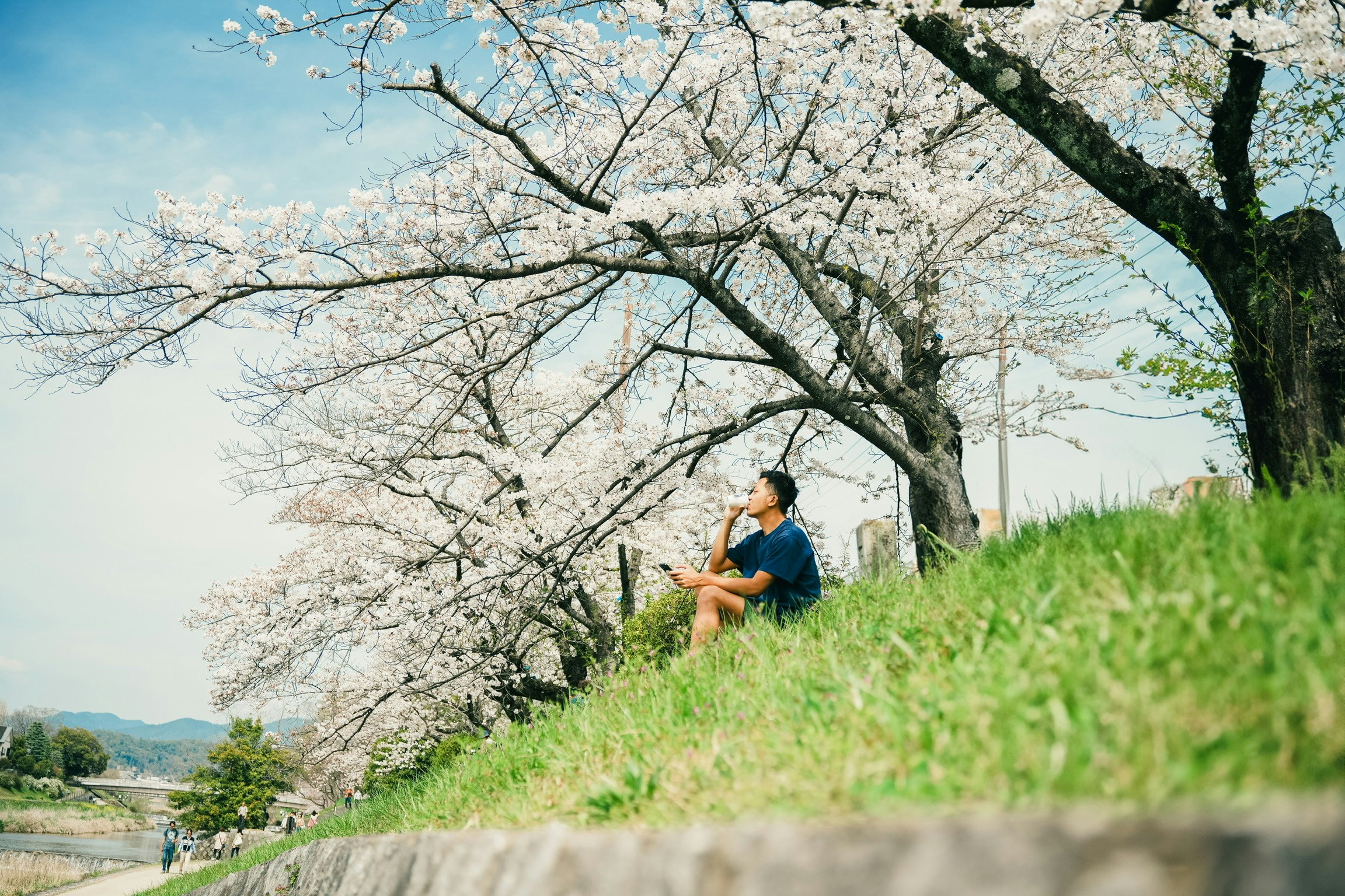 桜の並木の丘で春を楽しむ人の姿