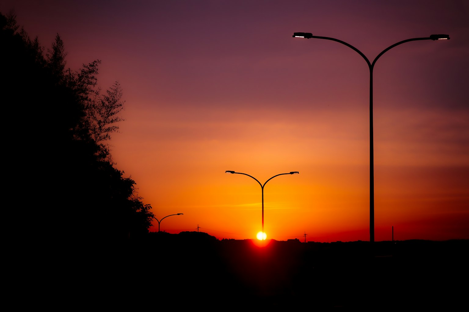 Silhouette von Straßenlaternen und Bäumen vor einem Sonnenuntergang