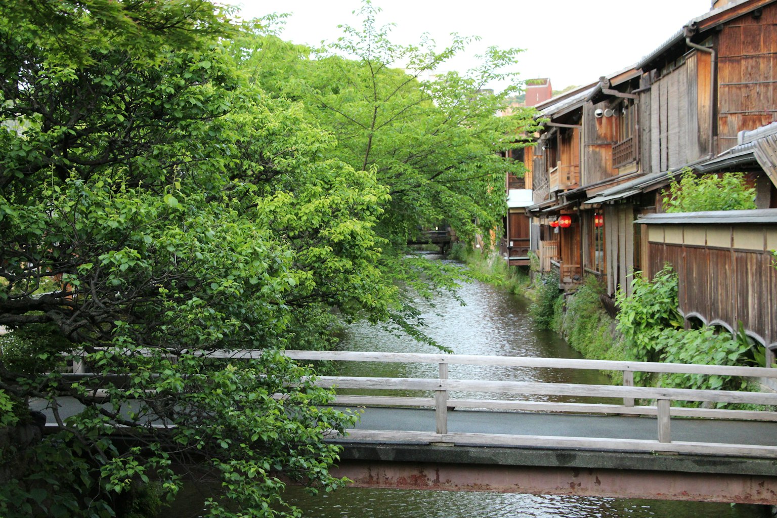 Vista panoramica di un ponte in legno su un canale tranquillo circondato da vegetazione lussureggiante