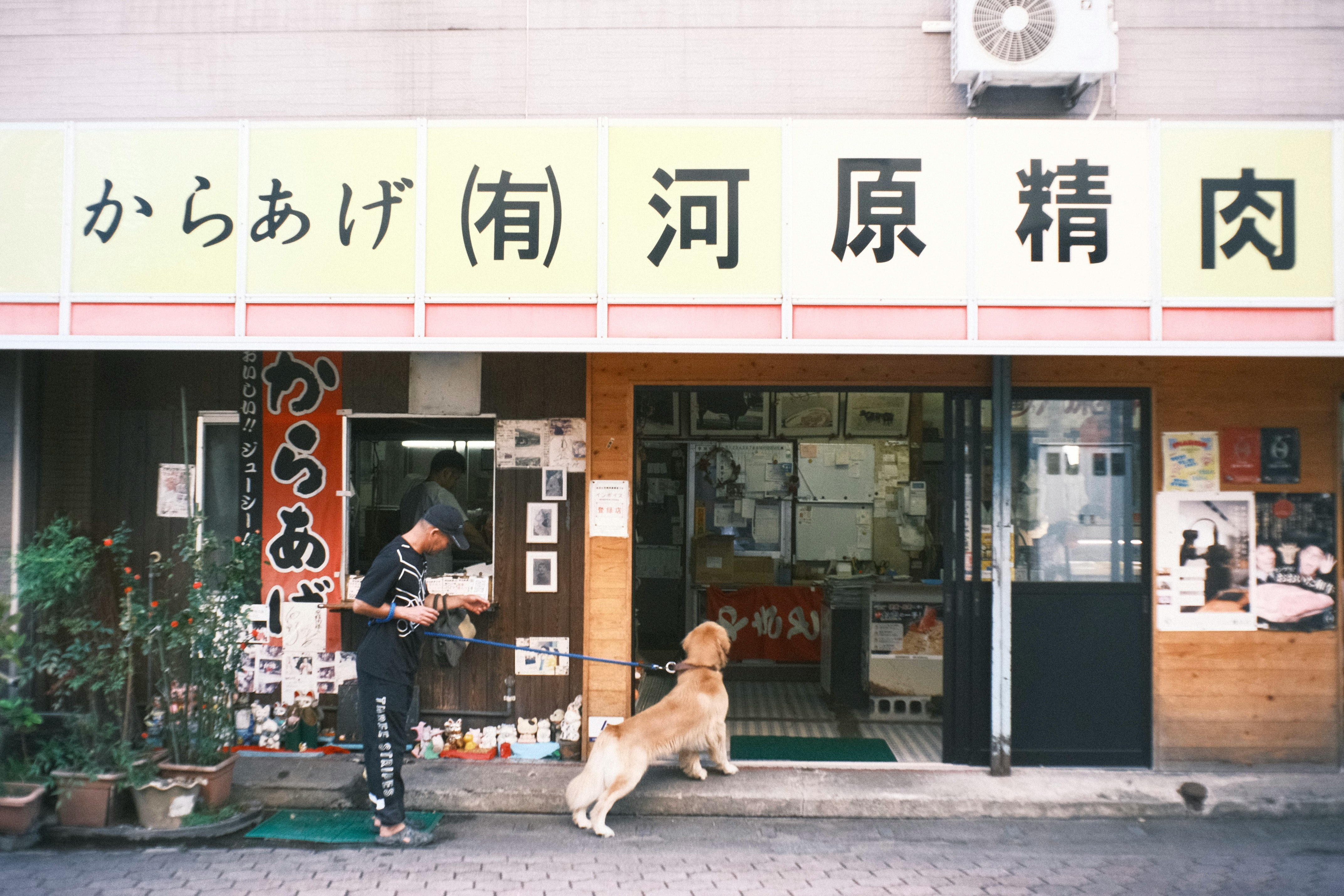 butcher shop storefront in a narrow alley with a dog and a person