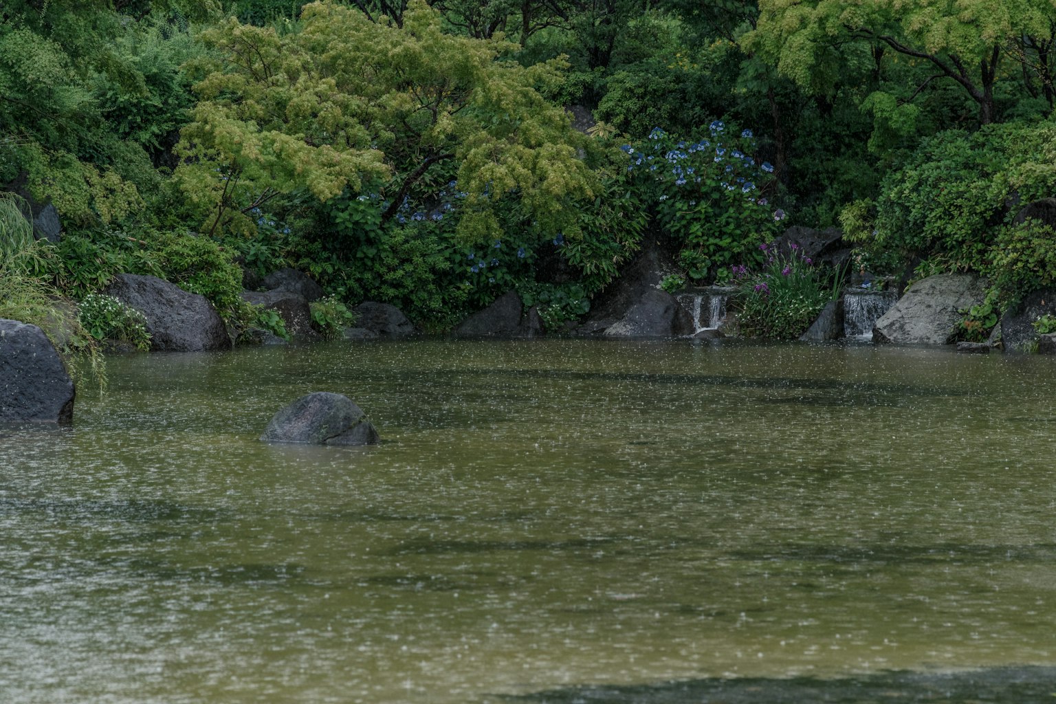 Ein ruhiger Teich umgeben von üppigem Grün