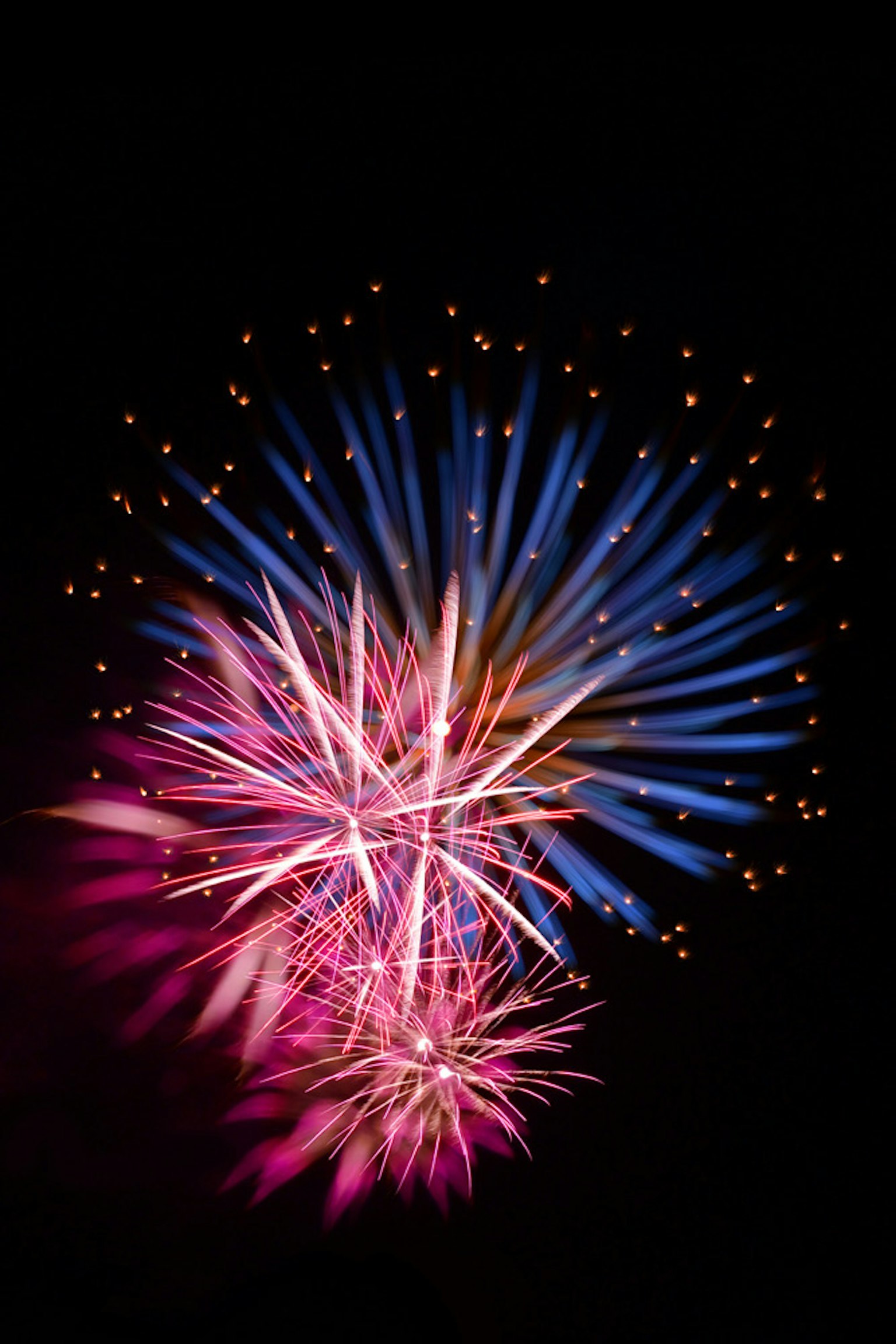 Fuochi d'artificio colorati che esplodono su uno sfondo nero