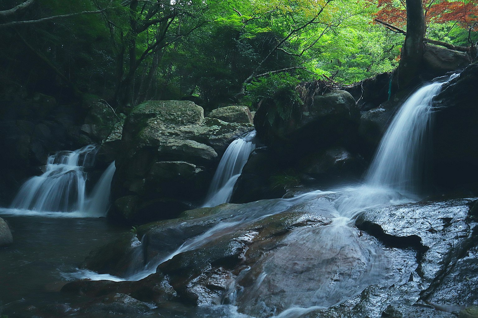 Chute d'eau sereine traversant une forêt verdoyante