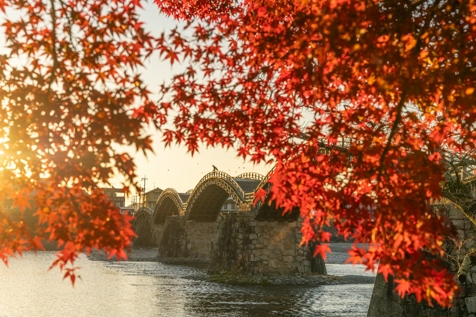 紅葉に囲まれた橋と湖の風景夕日が映る美しいシーン