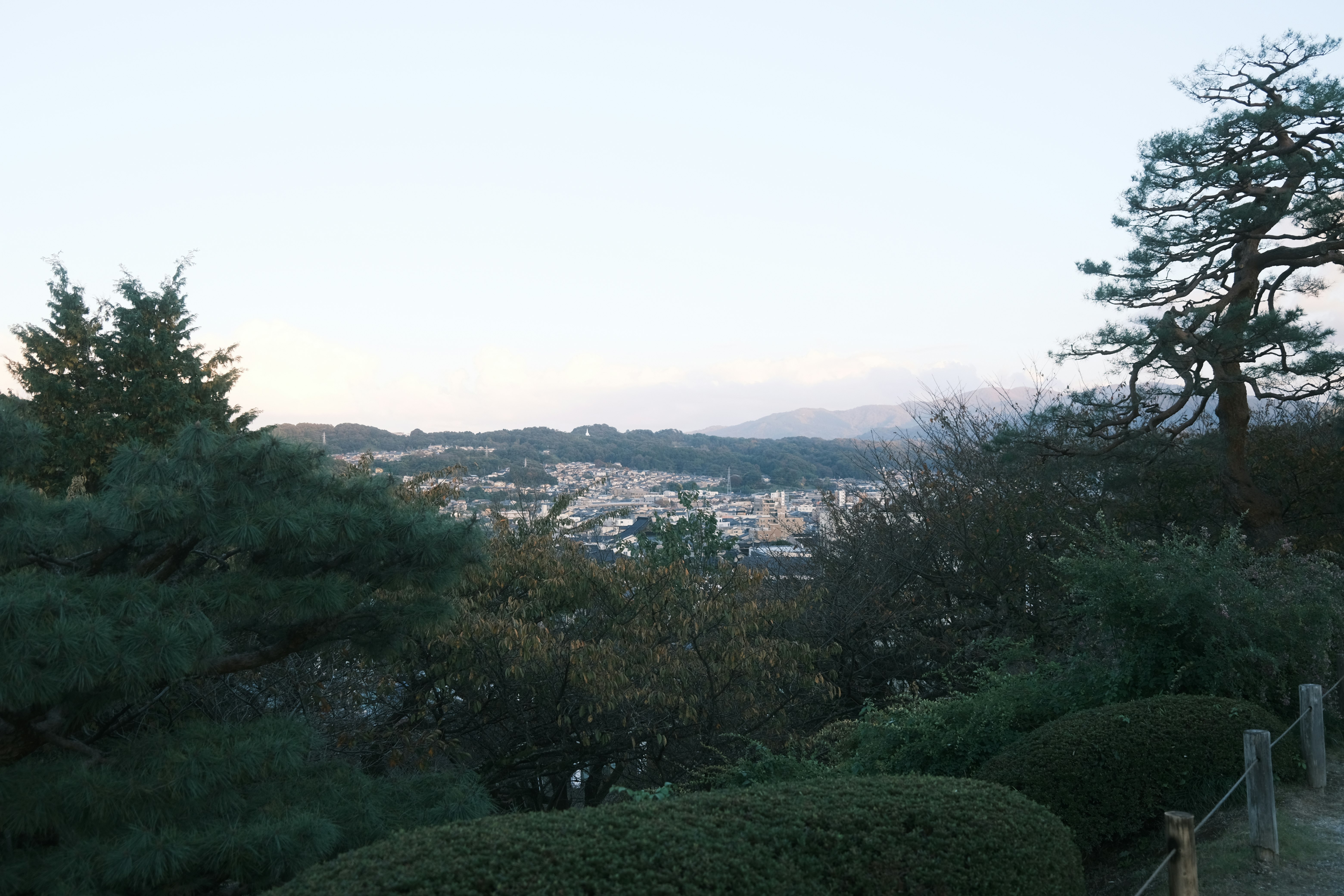 丘陵の緑と街並みを見下ろす景色