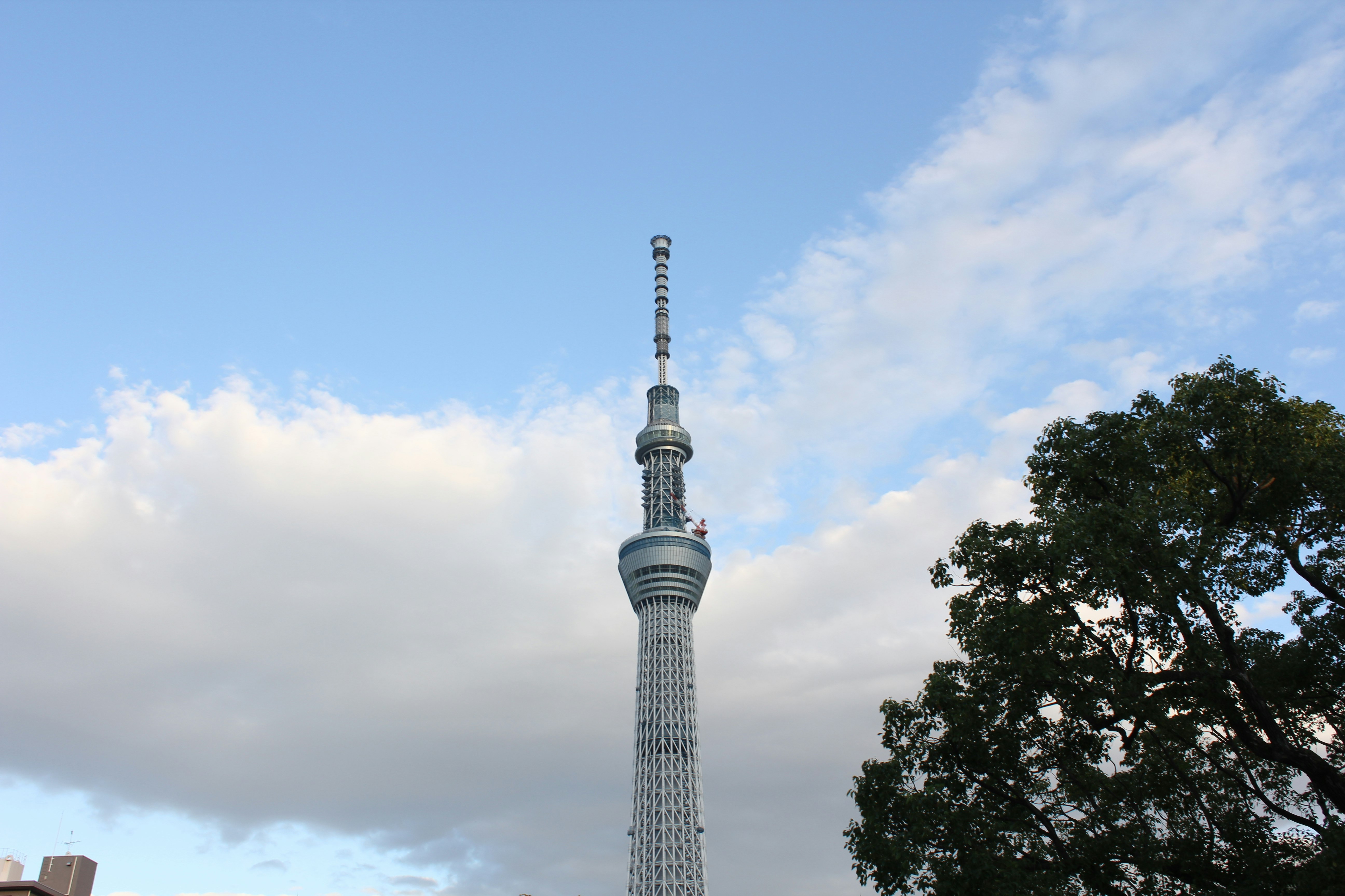 藍天襯托下的東京晴空塔