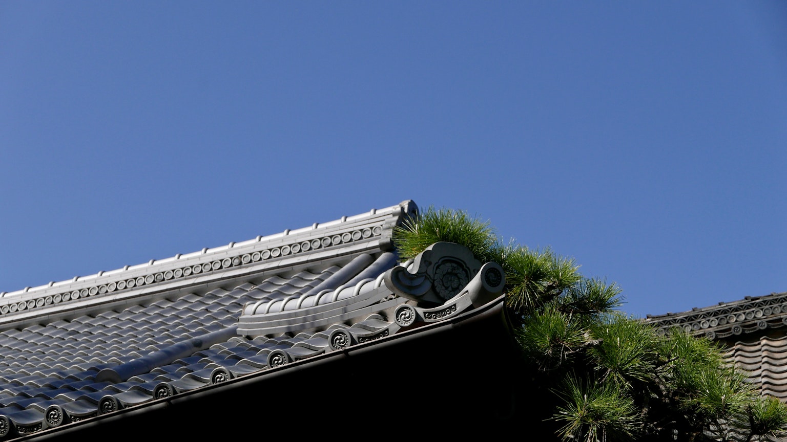 蓝天之下的传统日本屋顶的一部分 绿色植物在边缘生长
