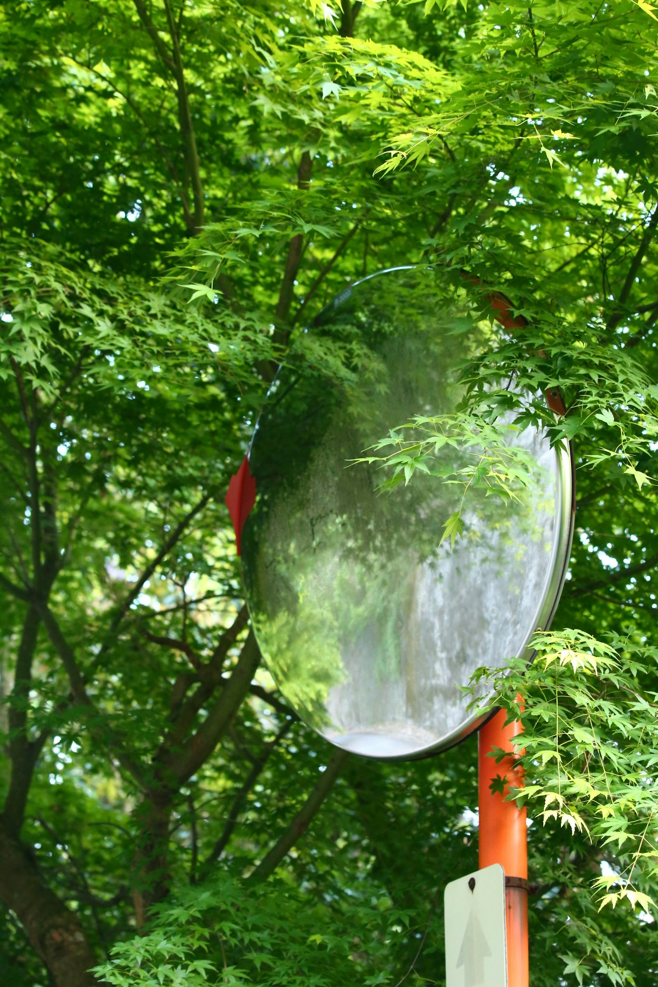 緑の木々の間に吊るされた透明な球体のオブジェクト