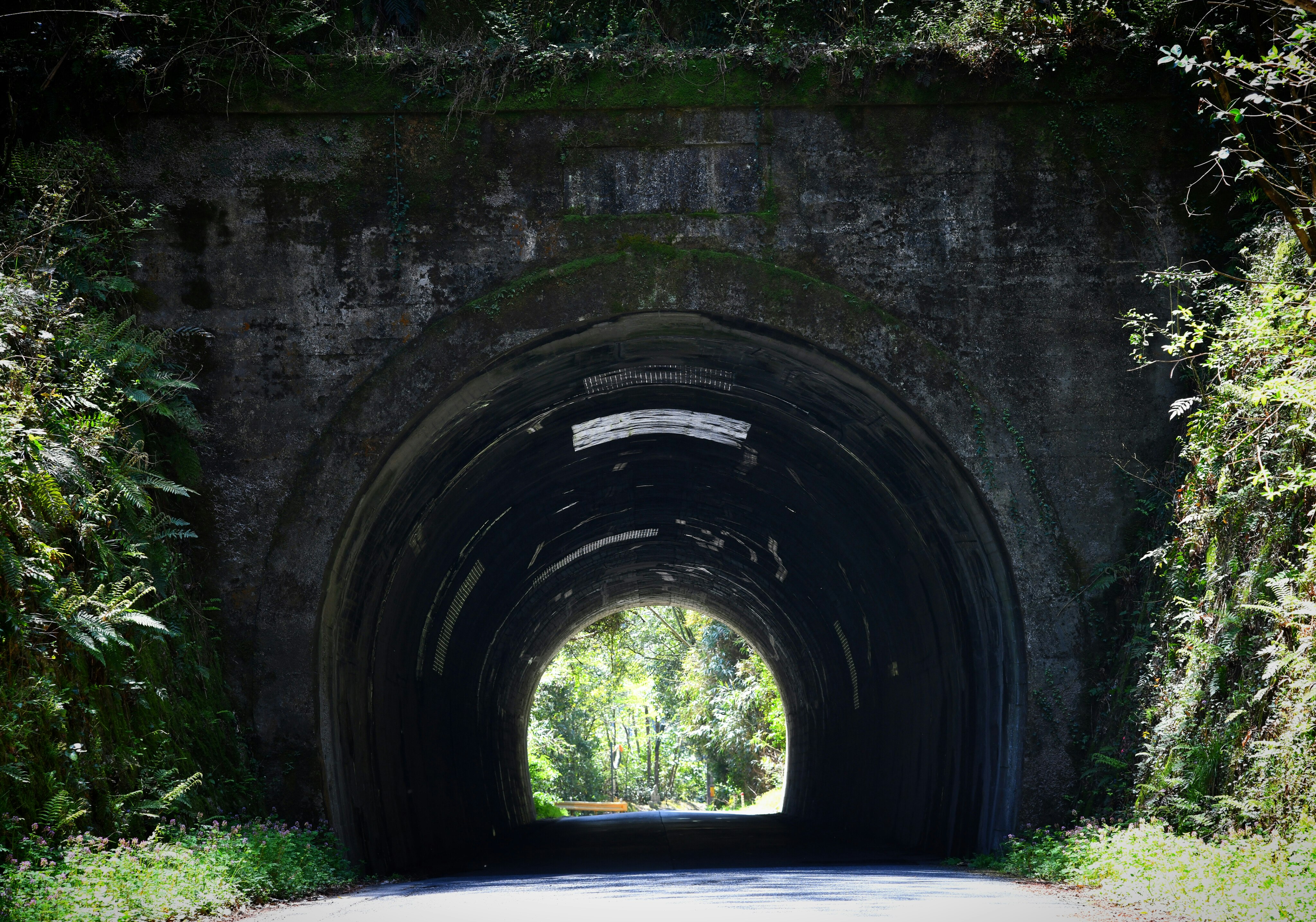 トンネルの中を抜ける緑の自然の景色