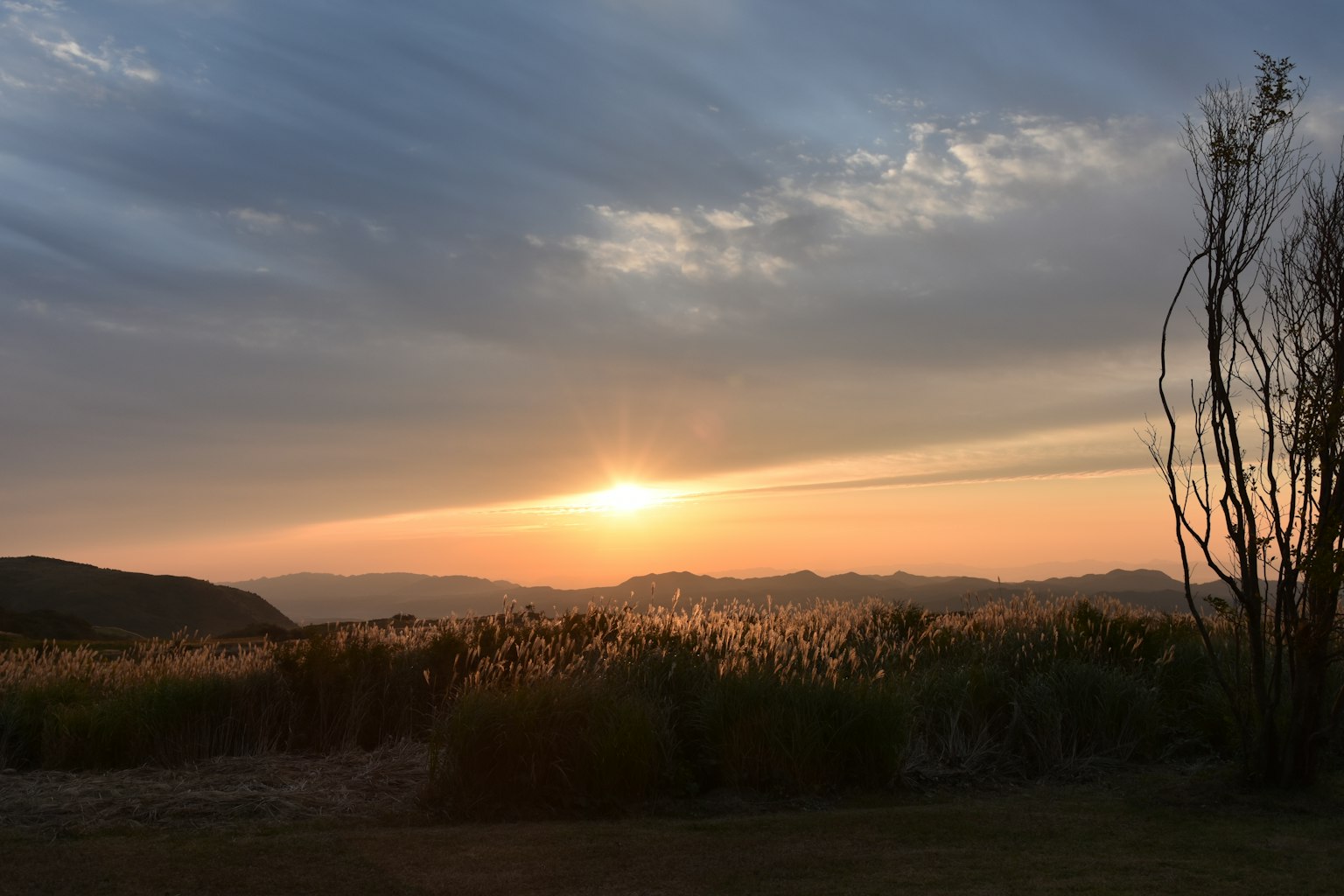 Vue du coucher de soleil avec des montagnes et des prairies