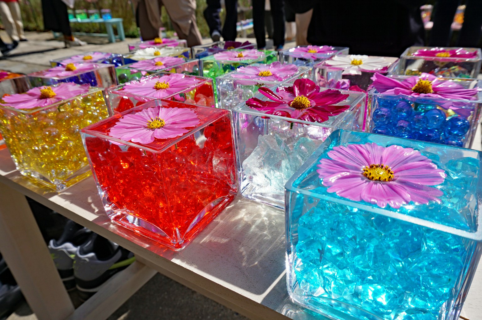 多彩透明方塊裝飾著花朵的藝術展示