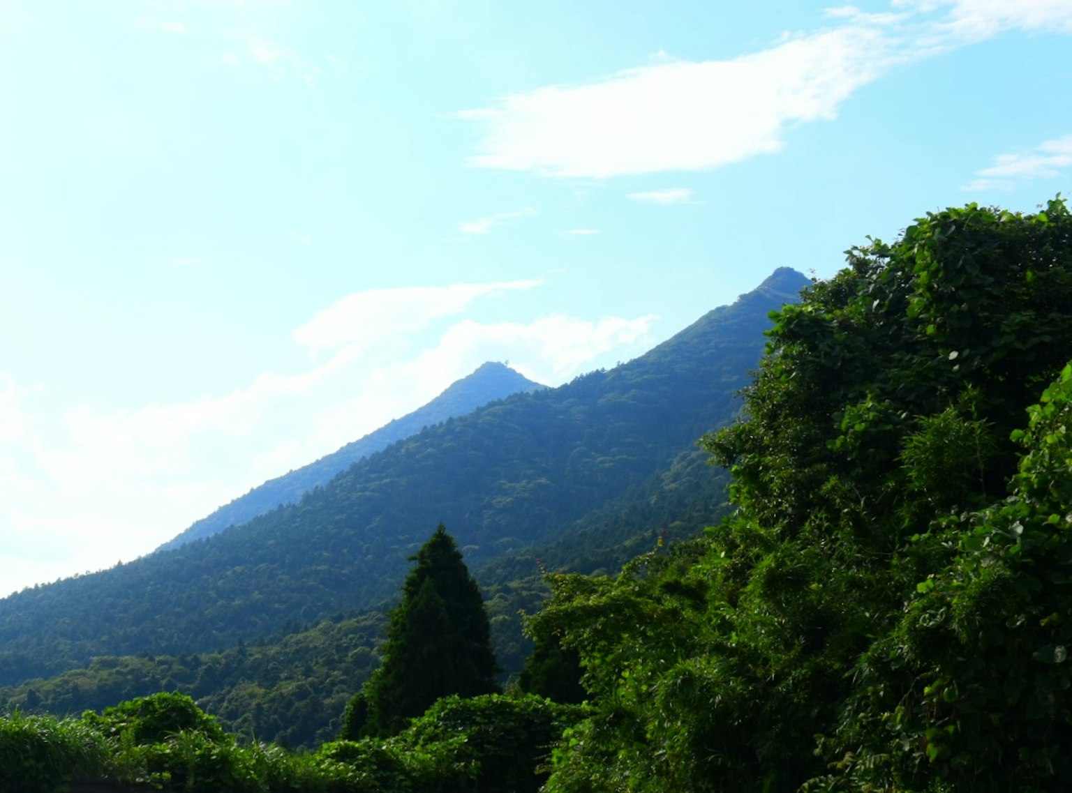 Montagnes s'élevant sous un ciel bleu avec des arbres verts luxuriants