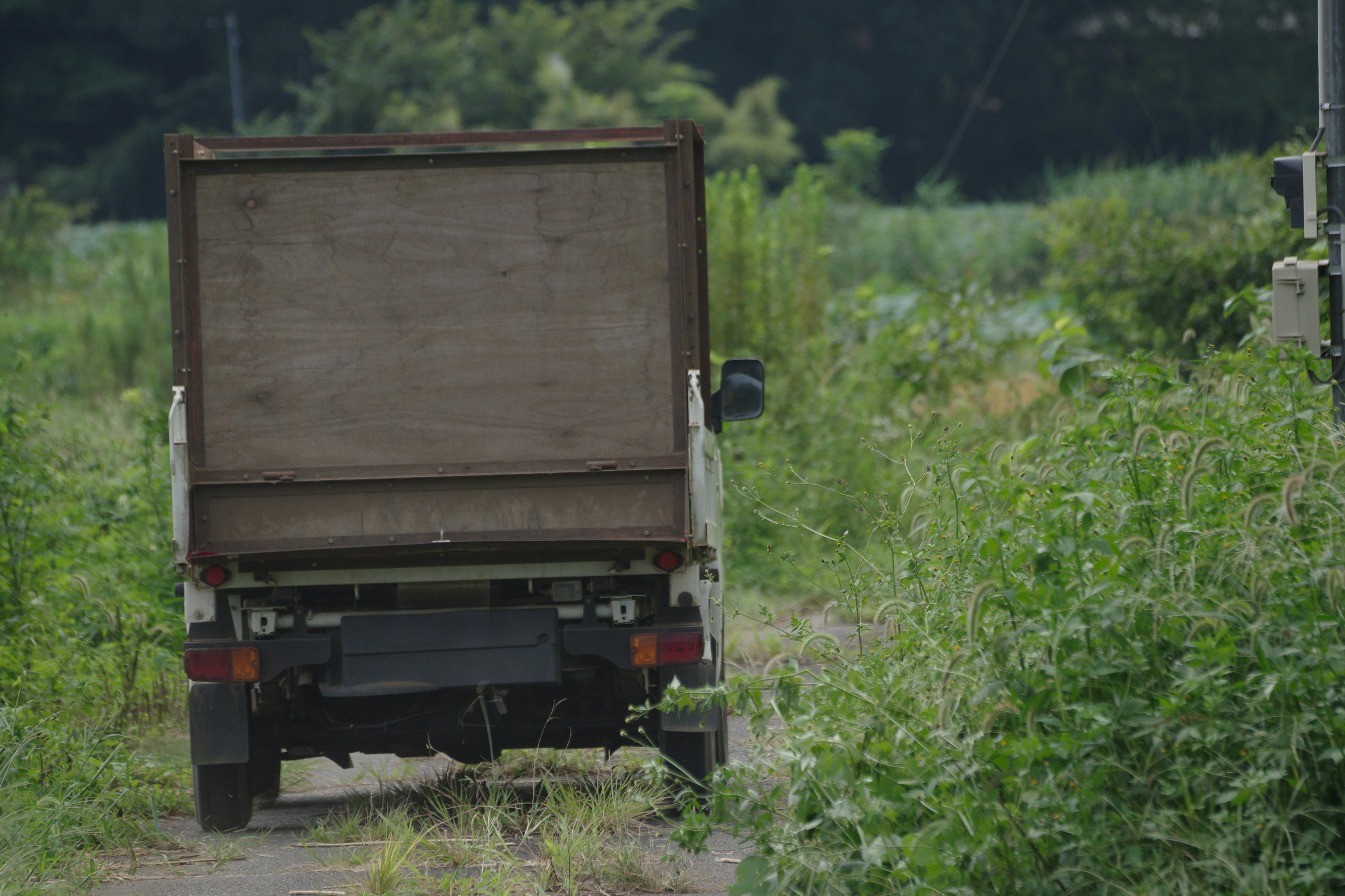 農道を走る軽トラックの荷台背面