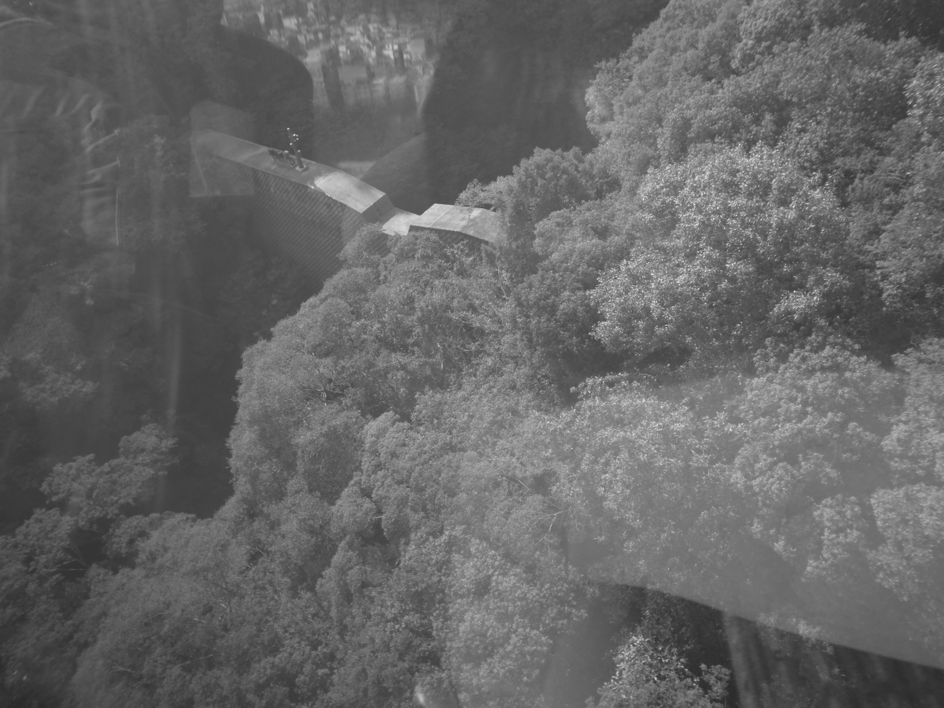 überlagerte Ansicht eines Flusses durch ein nebliges bewaldetes Tal