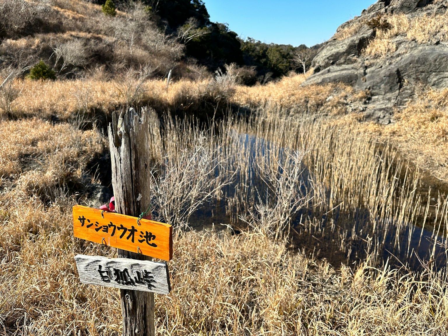 Paesaggio di prateria secca con una piccola pozza e un cartello
