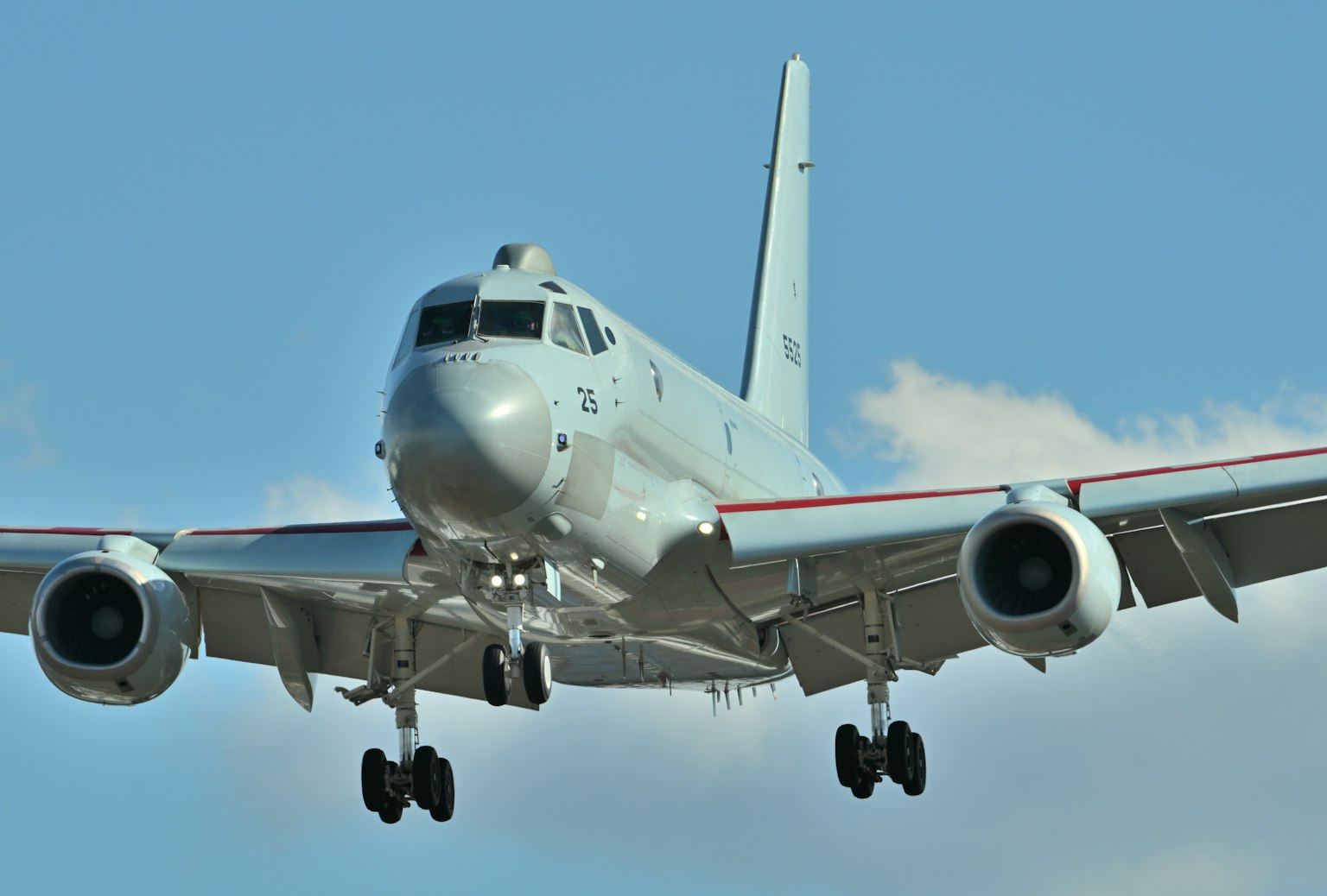 Aereo bianco che vola nel cielo