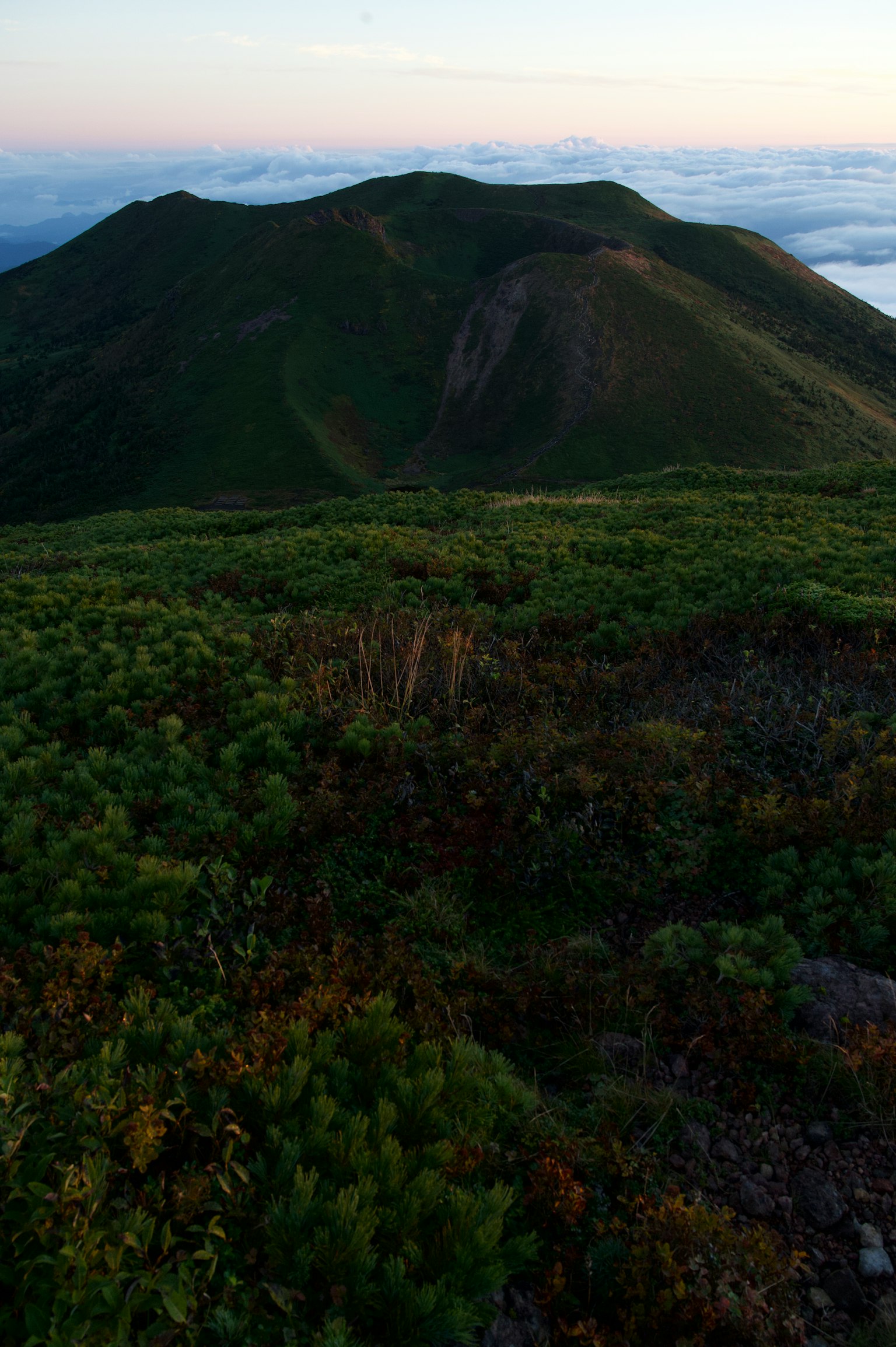 Vista panoramica di una montagna e vegetazione lussureggiante