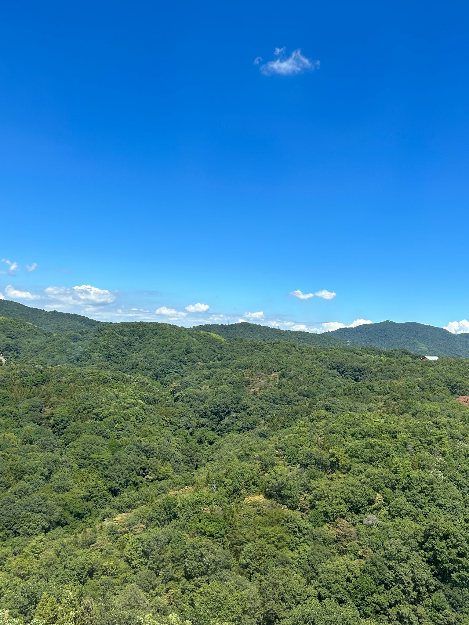 Pemandangan perbukitan hijau di bawah langit biru
