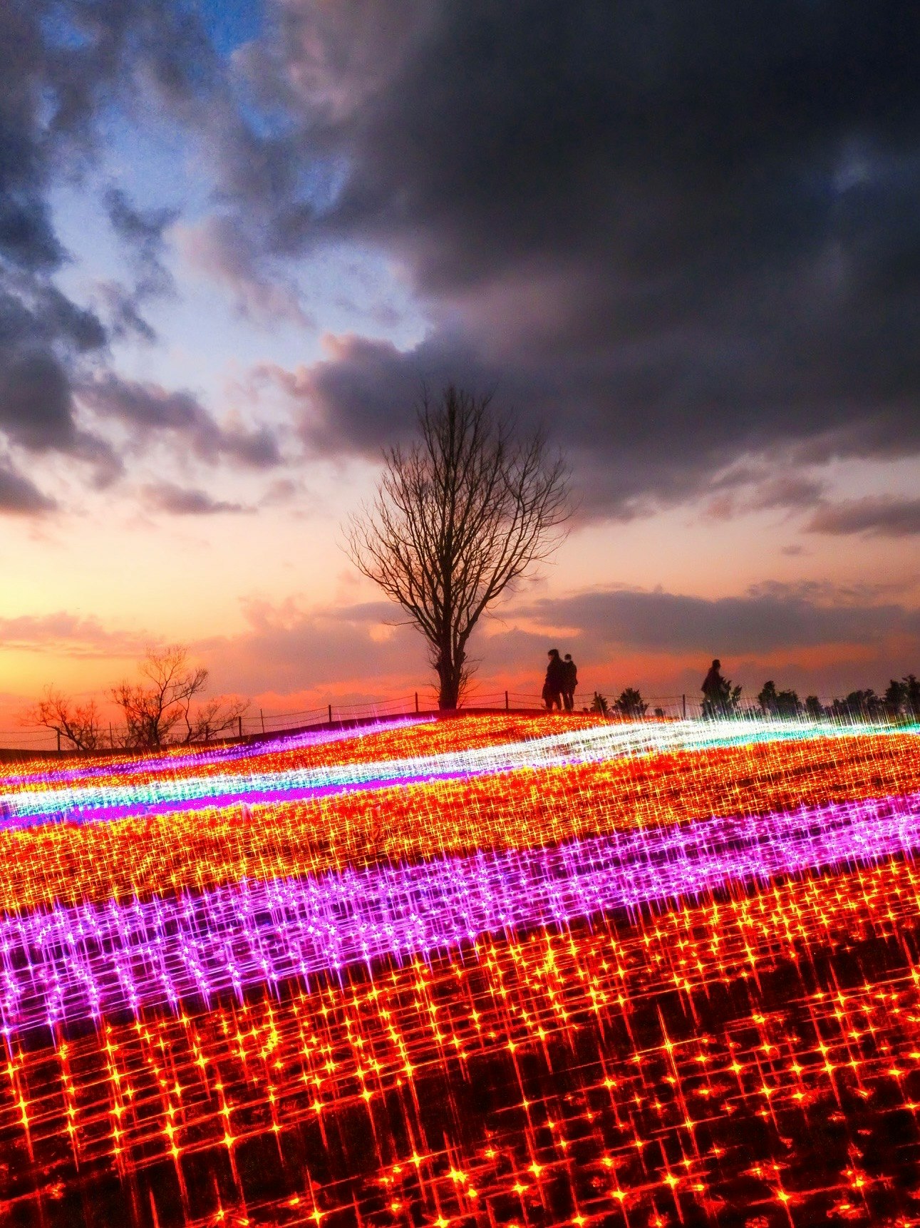 tappeto di luci dell’illuminazione di Mother Farm al crepuscolo