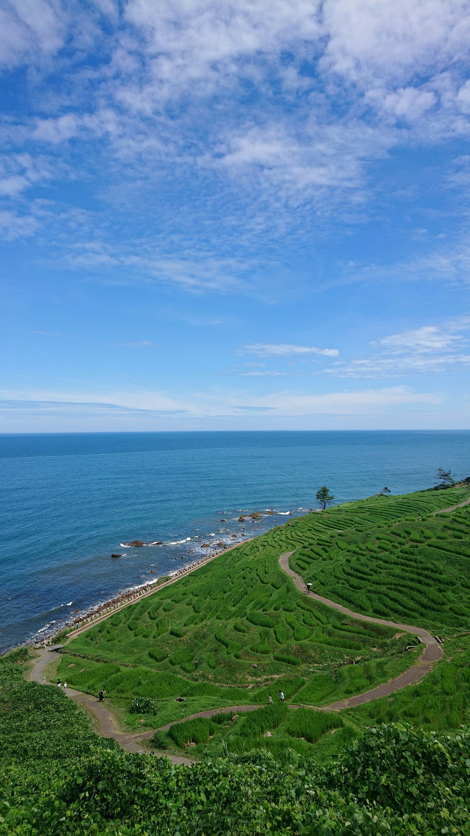 Panoramablick auf den blauen Ozean und die grünen Hügel