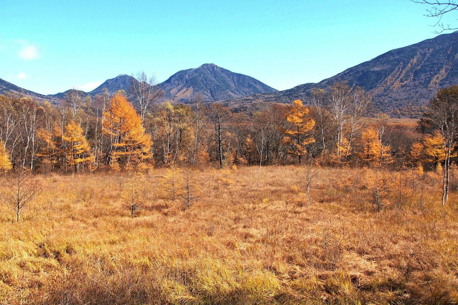 Vista escénica de montañas de otoño y un campo de hierba
