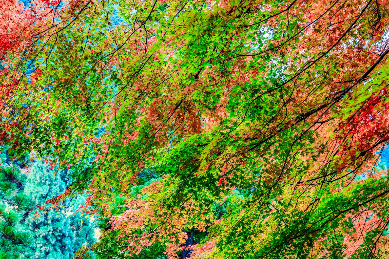 photo-XHOEJZDLNUevFNW7CVcP-image