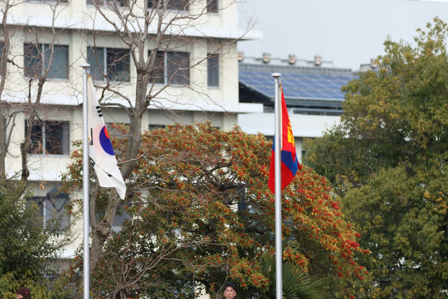 Flaggen von Südkorea und der Mongolei vor einem Gebäude