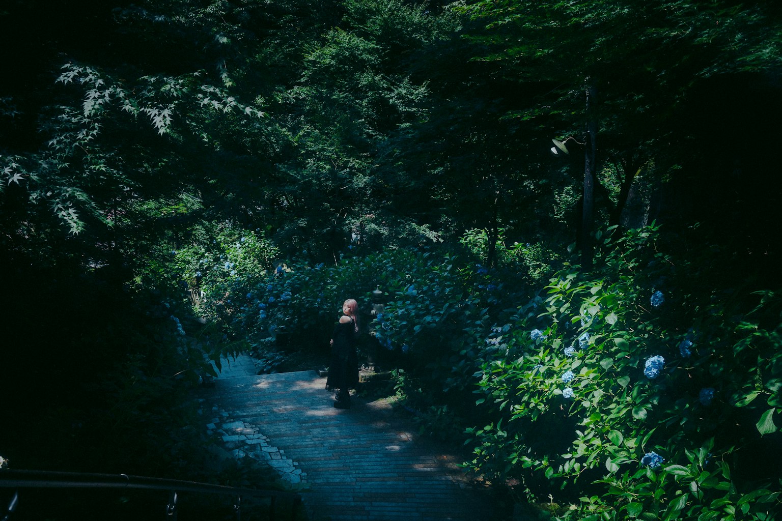 A person walking on a lush pathway surrounded by beautiful flowers