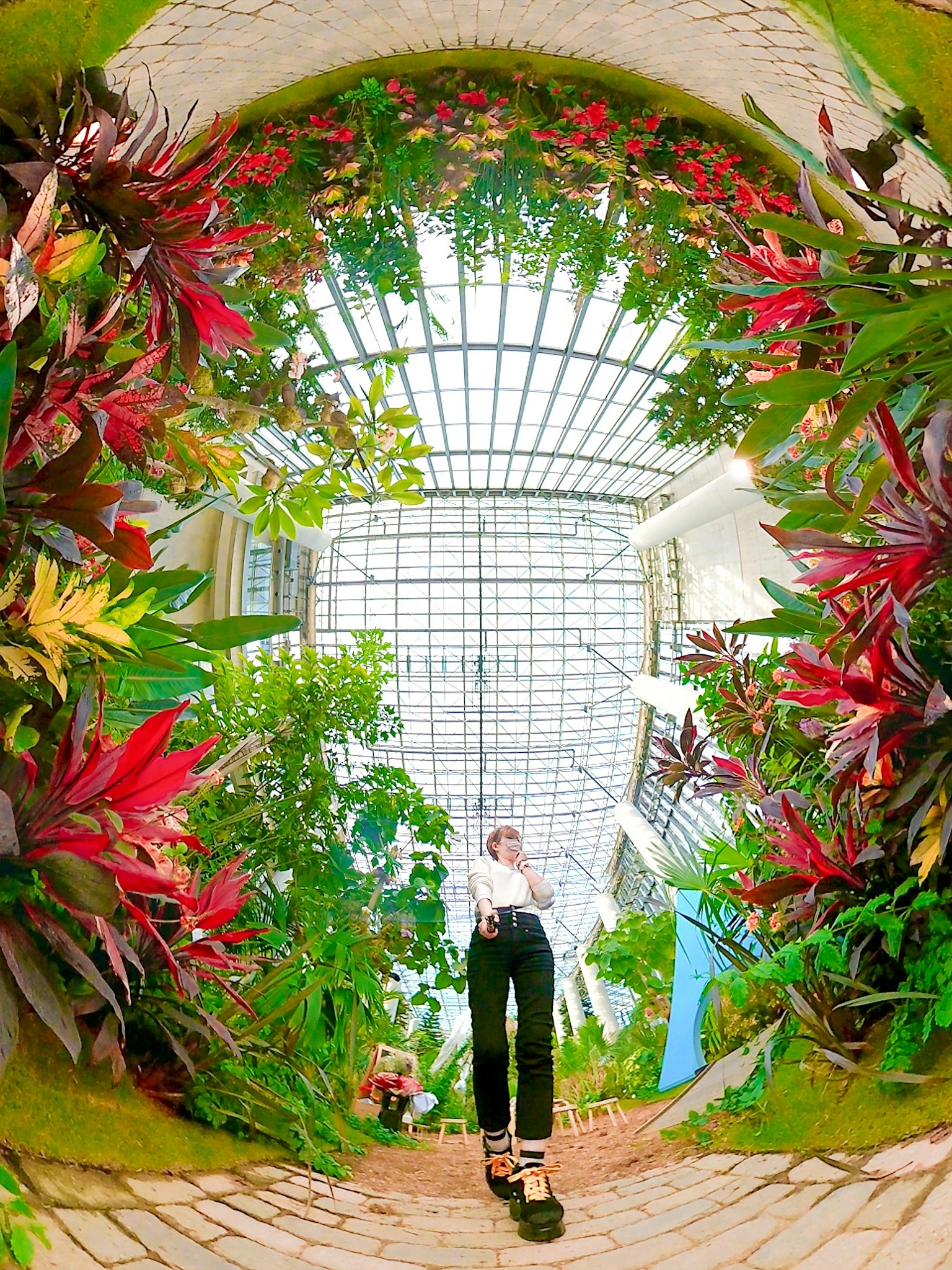 Une personne se tenant dans une serre entourée de plantes vibrantes
