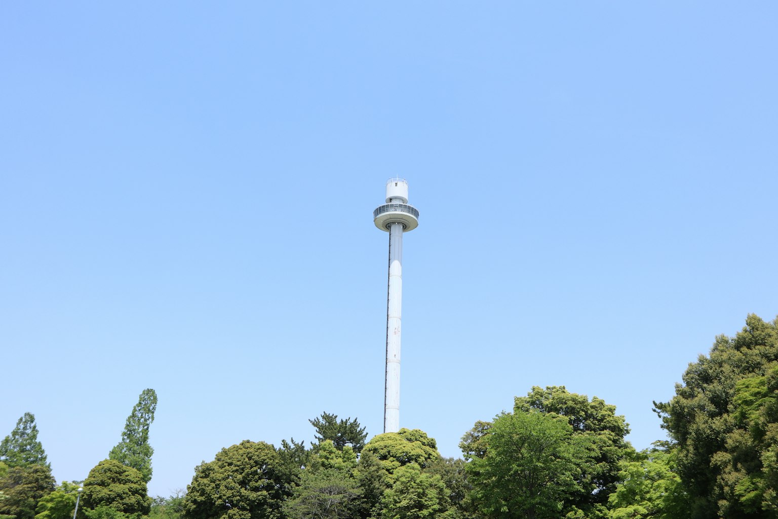 photo-XIVJ25uaLrqOGronHu68-image