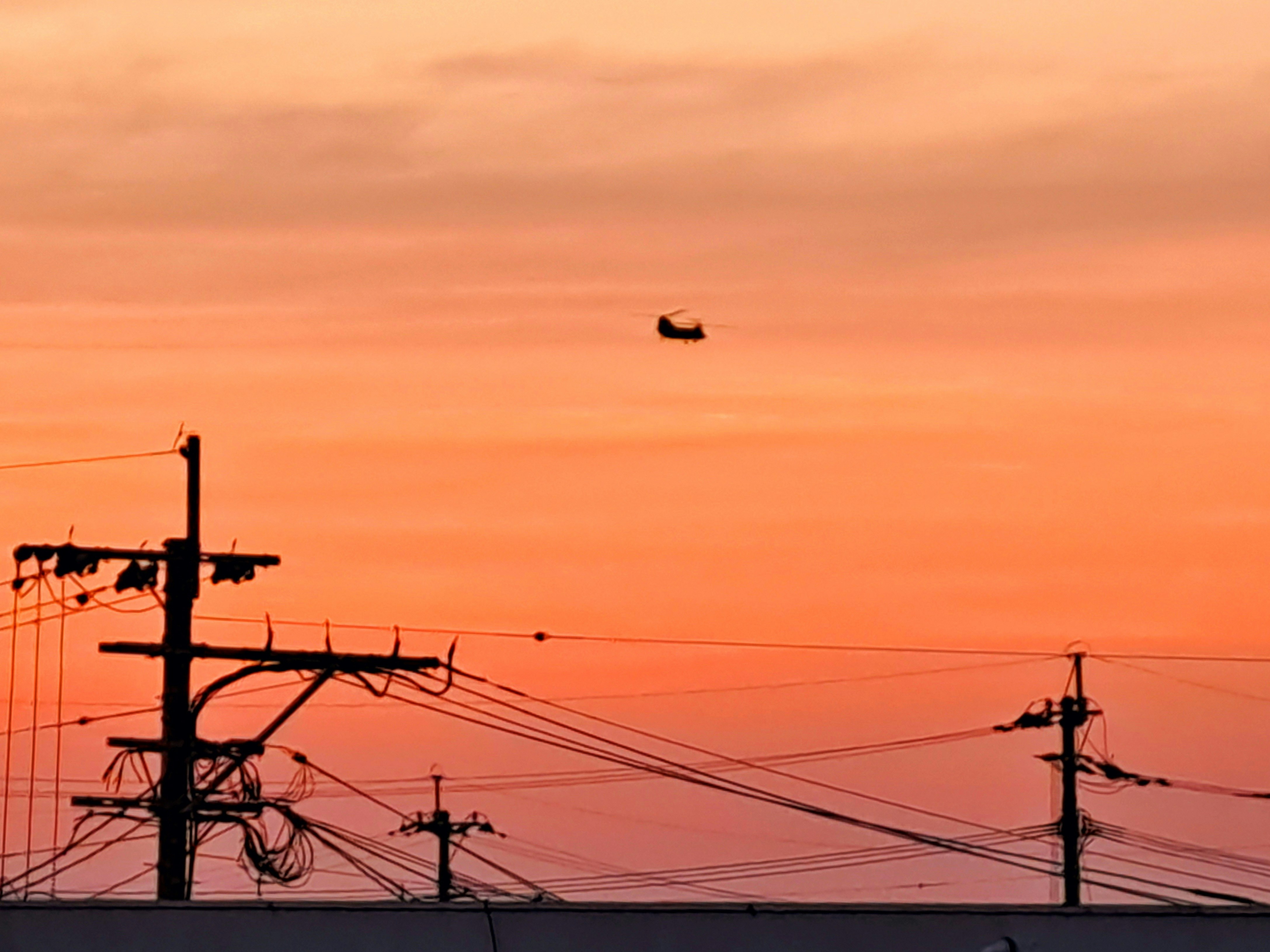 夕陽天空中，電線與電線桿上空盤旋的鳥