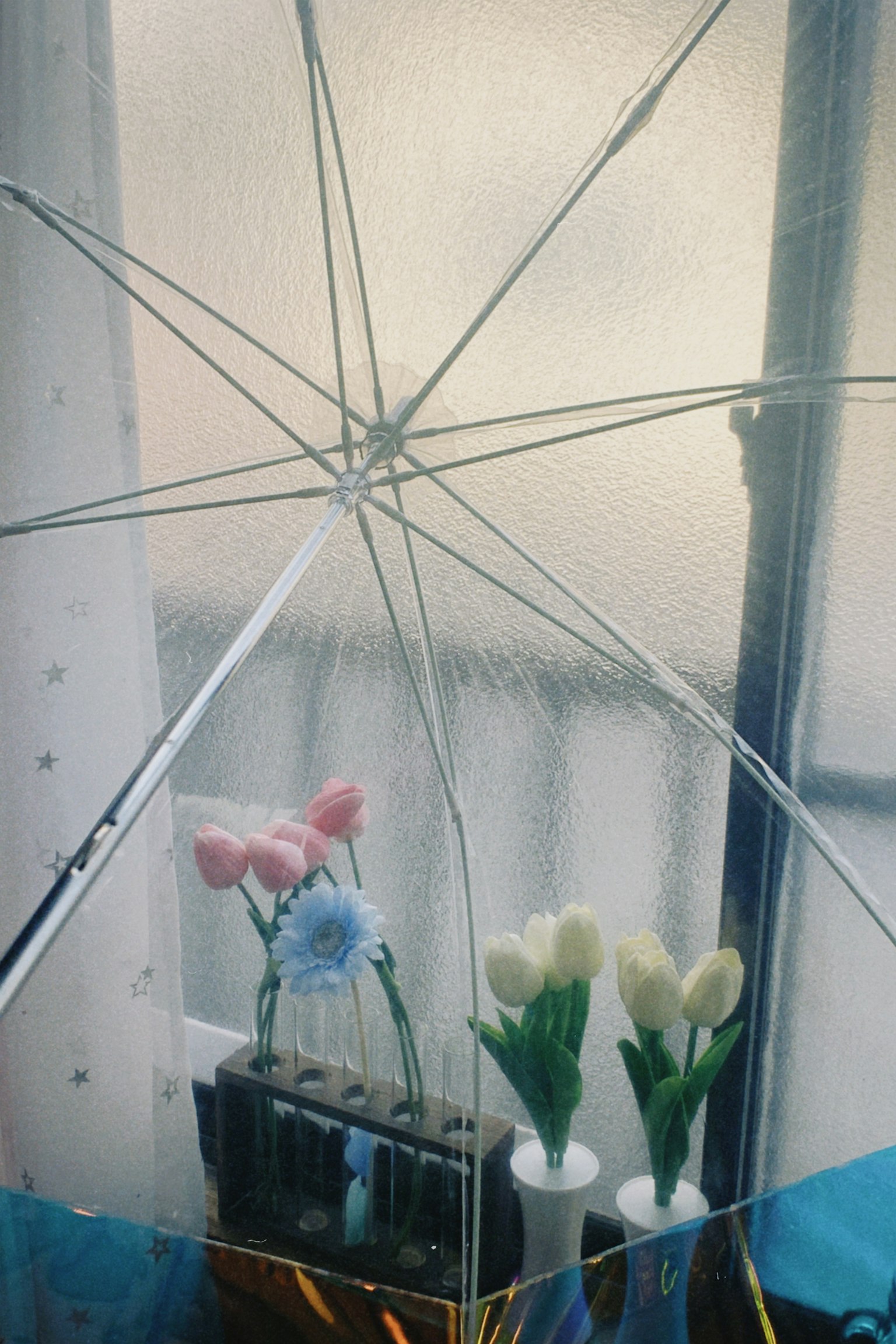 透過透明雨傘看到的花卉佈置和窗戶