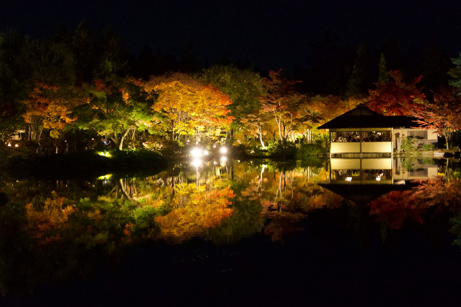 Magnifique scène nocturne d'un étang de jardin reflétant des feuilles d'automne et une maison de thé