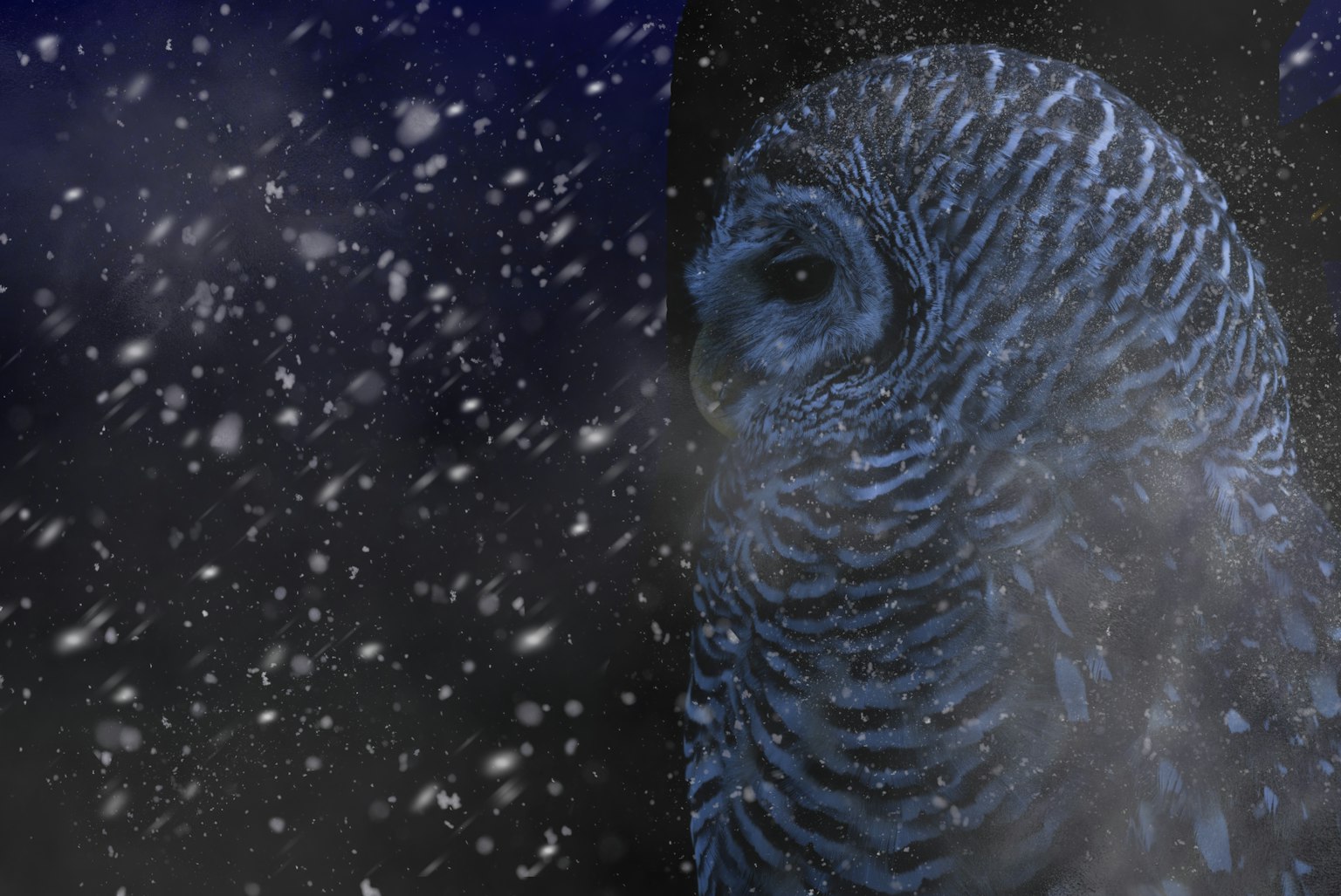 Ein mystisches Bild des Profils einer Eule im fallenden Schnee