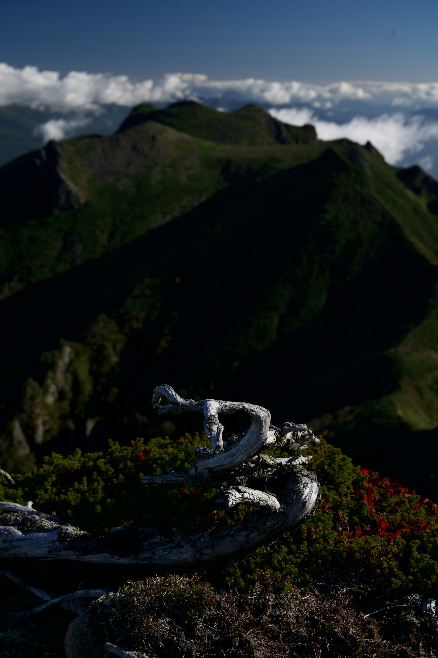 Aussicht vom Berggipfel mit bewölktem Hintergrund und unebenen Gelände
