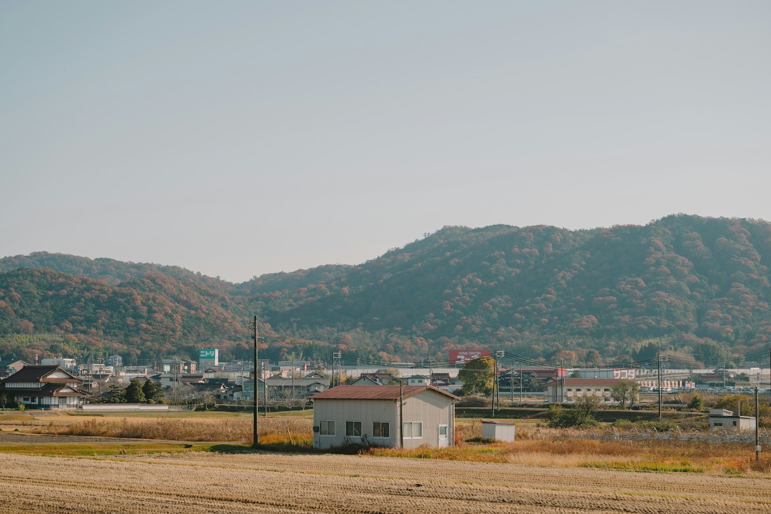 photo-XKC4tLpw6v1frzlGHoYL-image