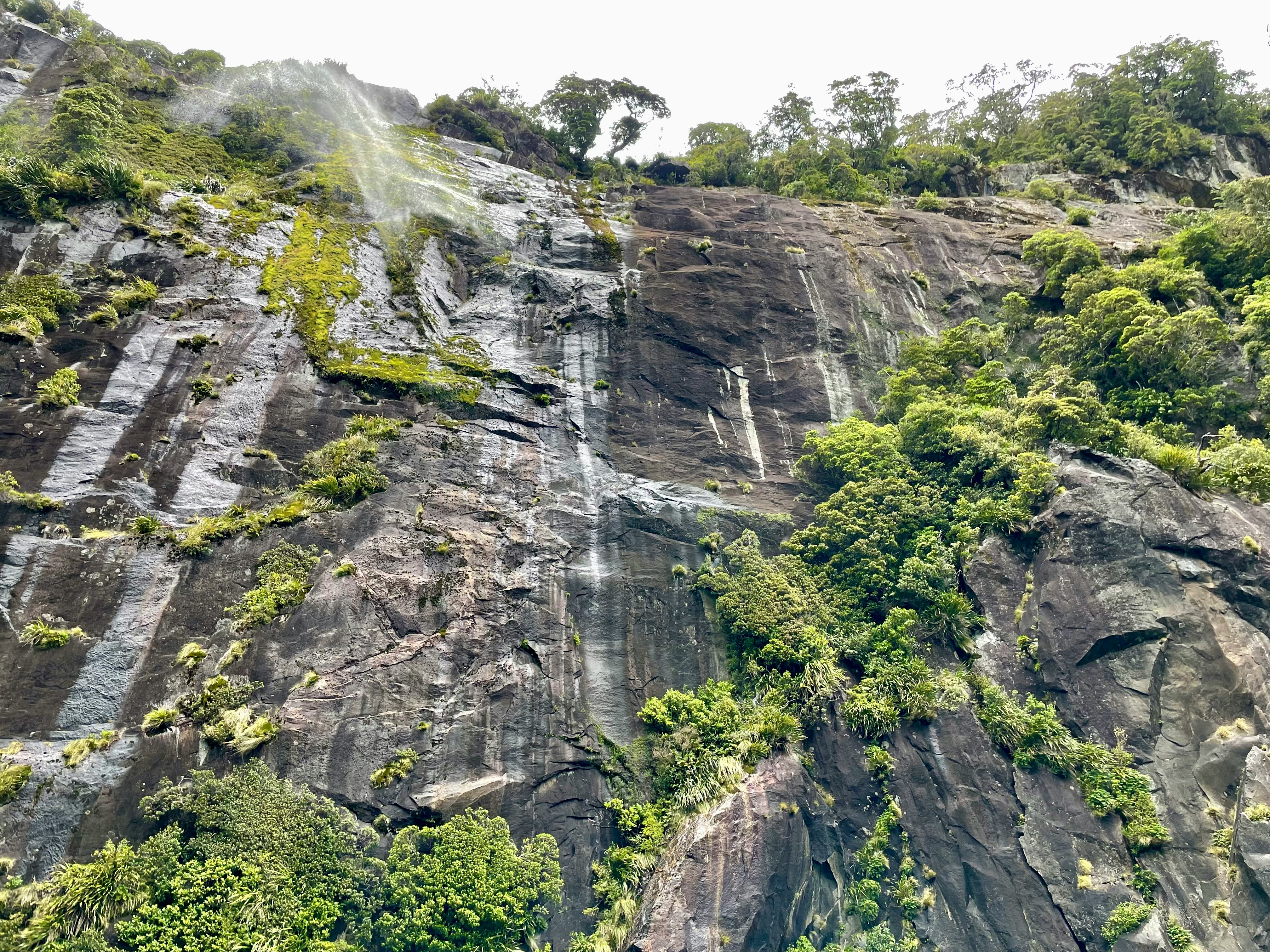 cascada que cae sobre un acantilado rocoso con vegetación exuberante