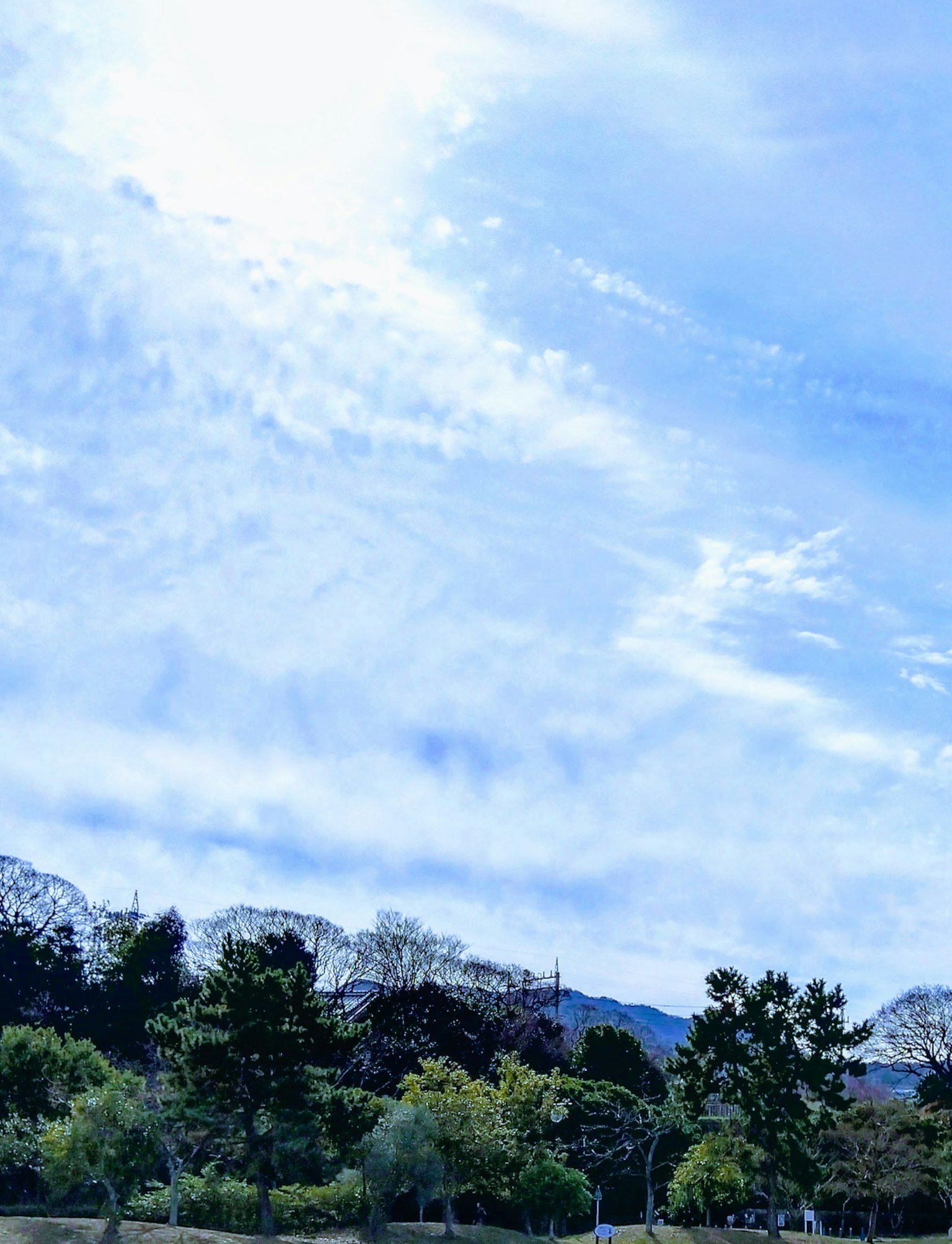 Clear blue sky with wispy clouds and green trees