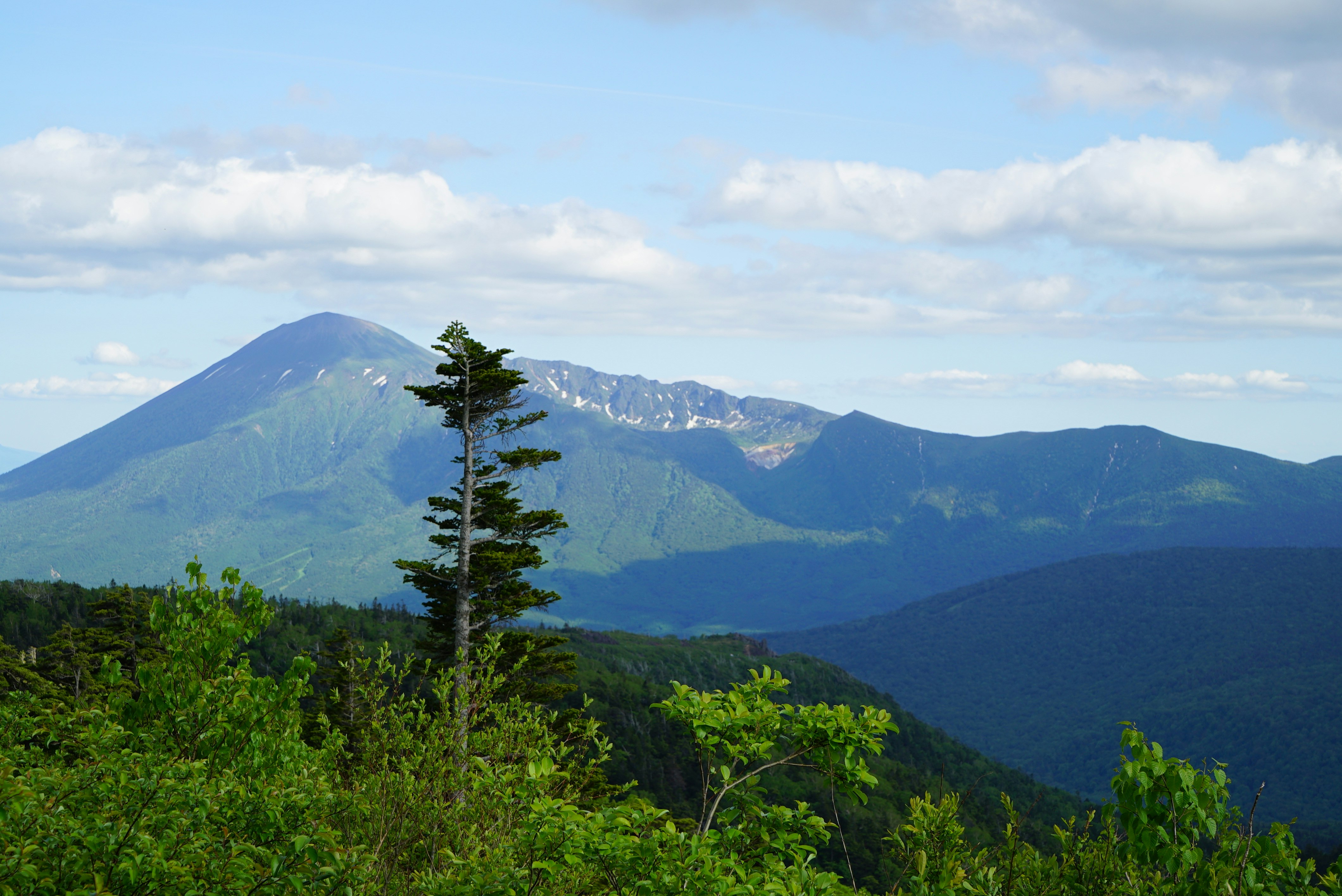 pemandangan alam punggungan gunung yang hijau