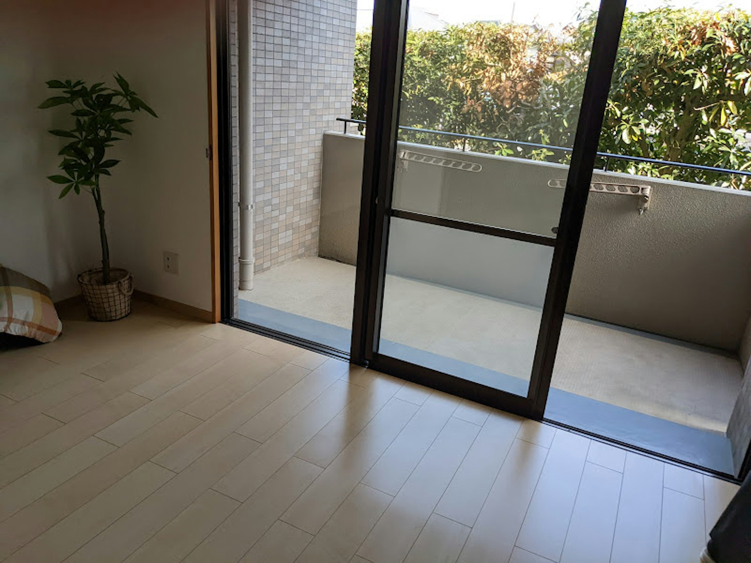 Sala luminosa con vista al balcón que presenta una planta y grandes ventanas