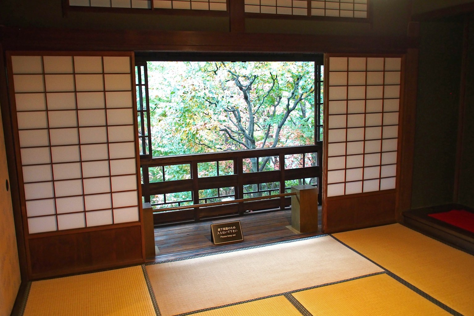 Interior ruangan tradisional Jepang dengan pemandangan pohon melalui jendela