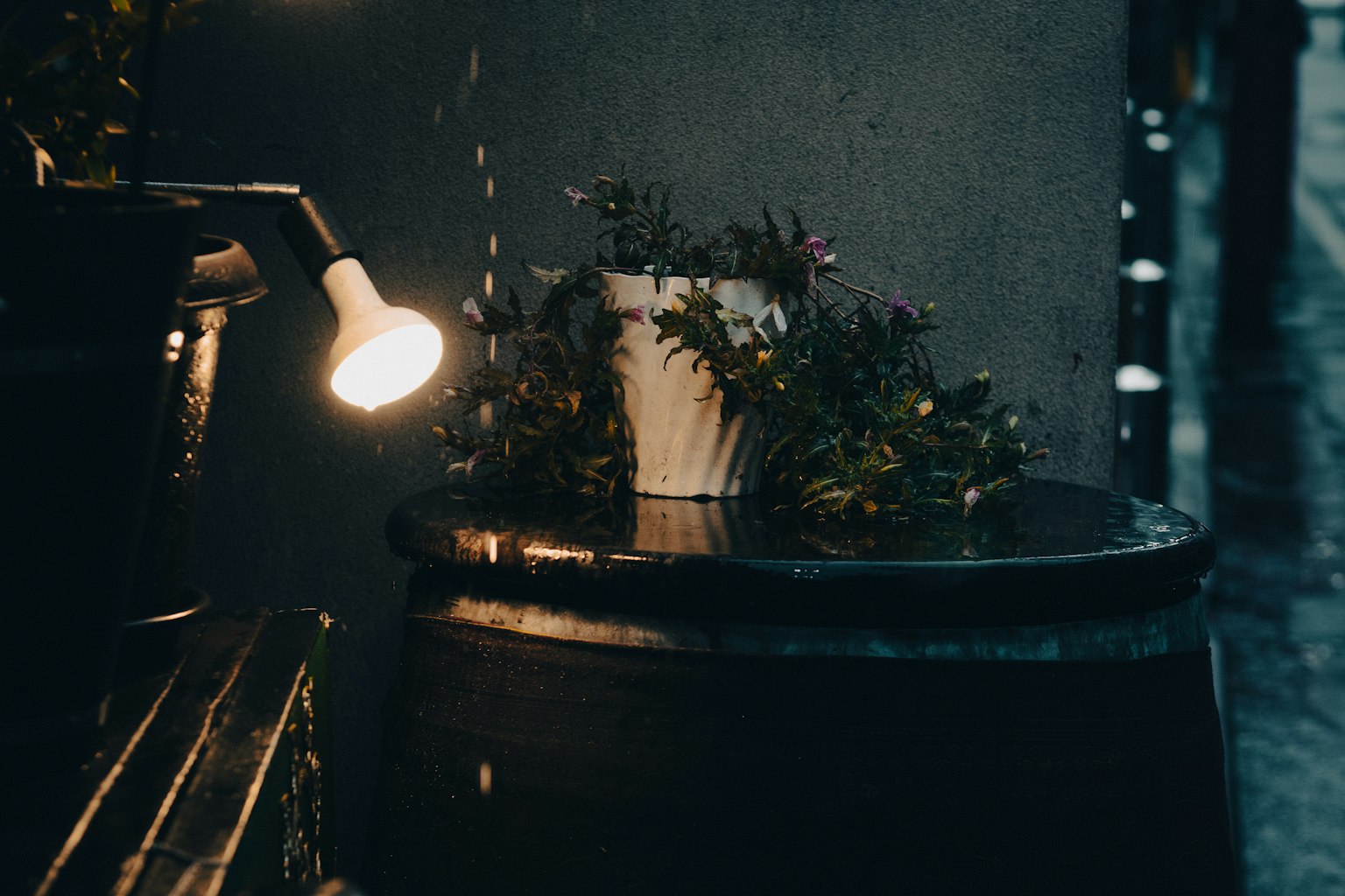 一个被灯光照亮的花盆旁边有一个装满雨水的桶