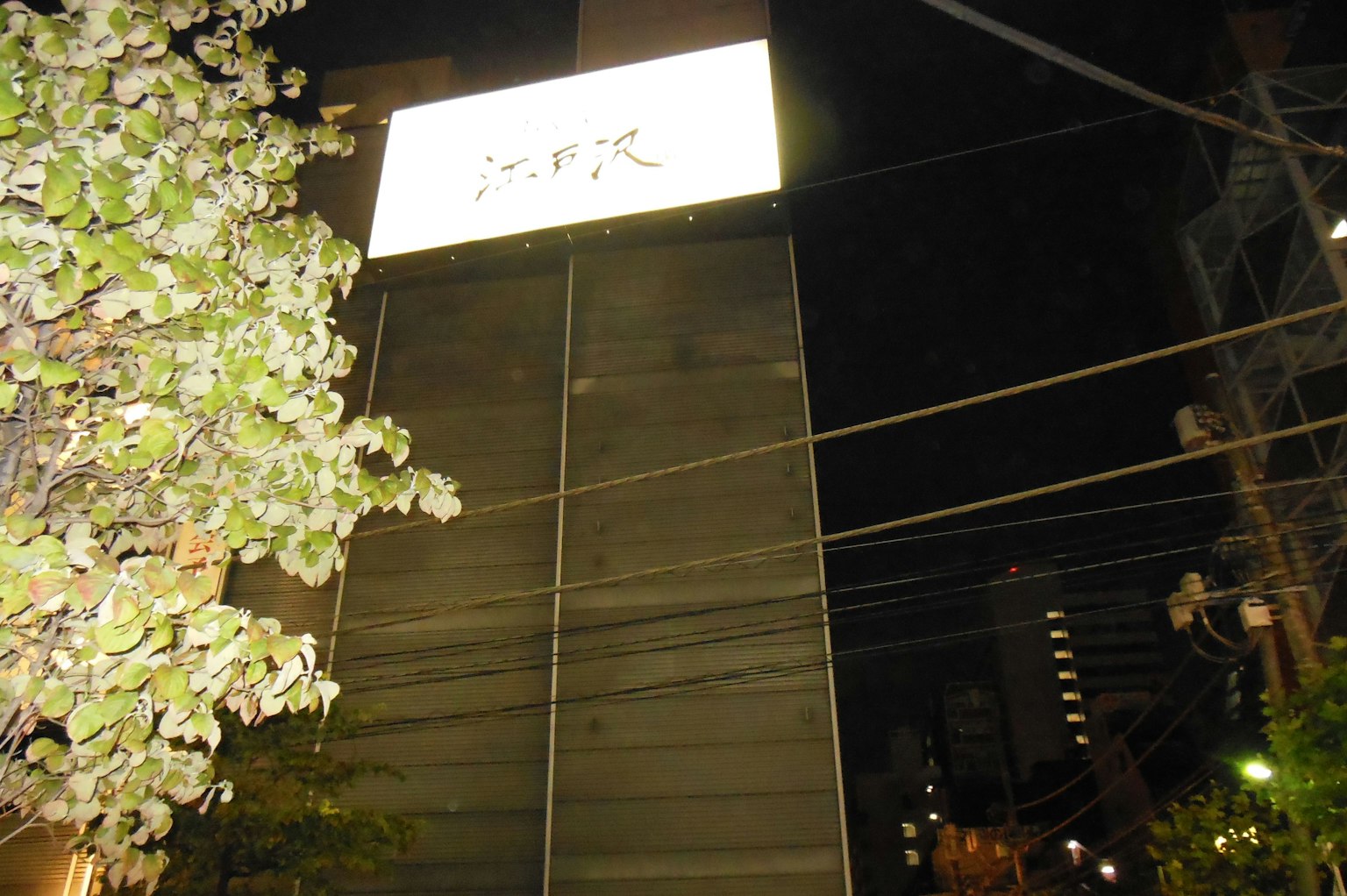 Building sign illuminated at night with trees nearby