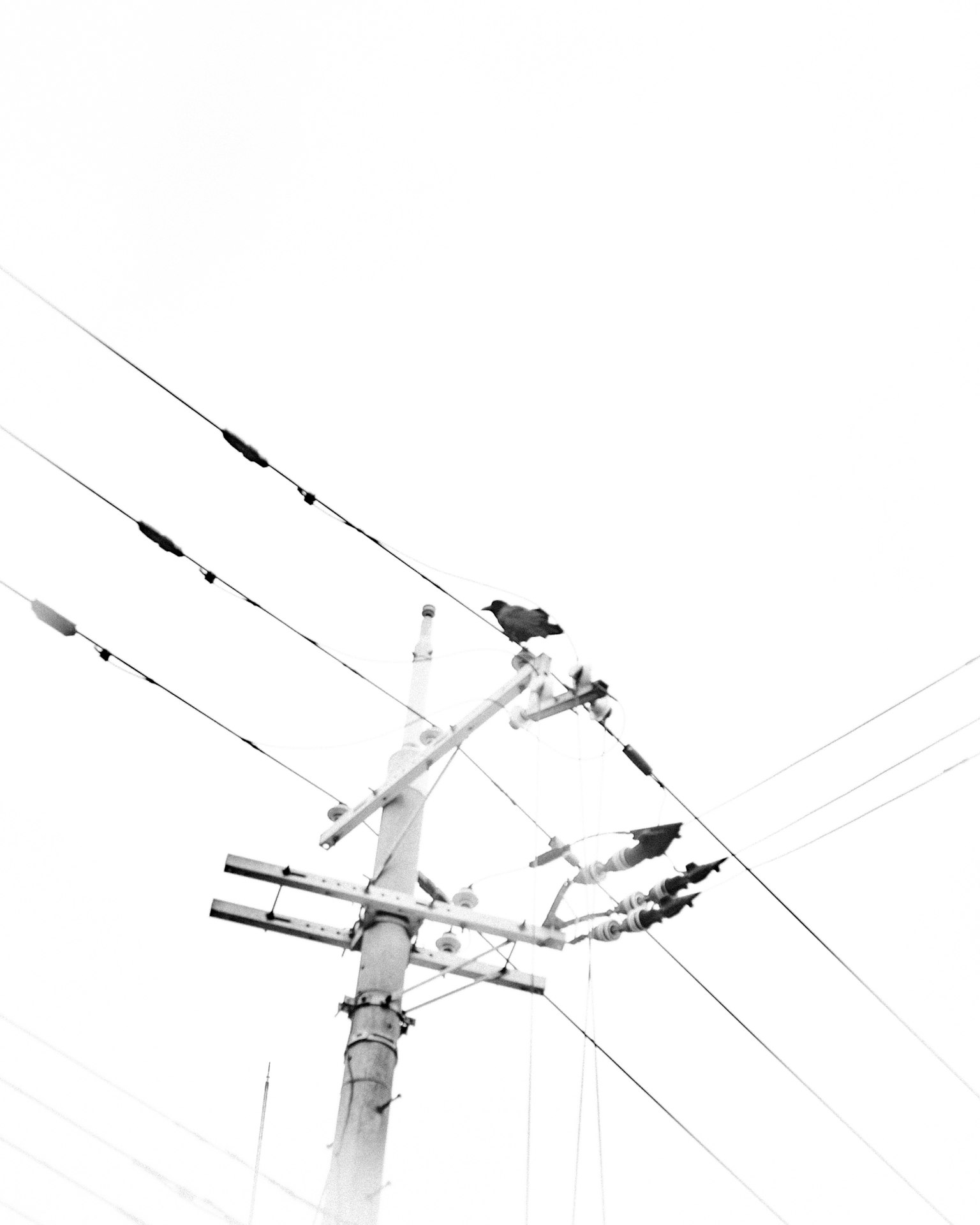 Black and white image of a utility pole with power lines from a high angle