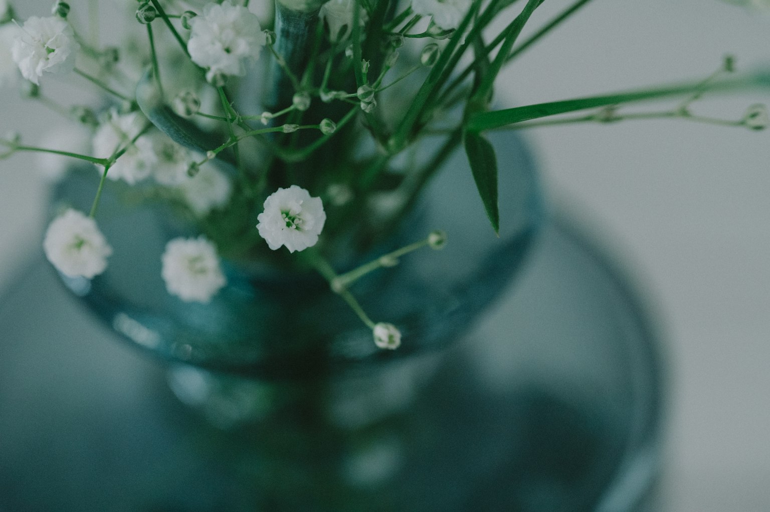 Simple arrangement of white flowers in a blue vase