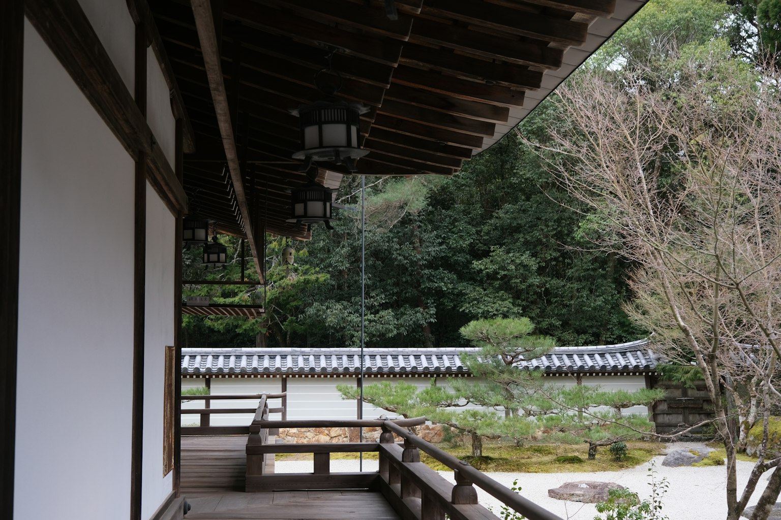 俯瞰宁静日本花园的古老建筑露台