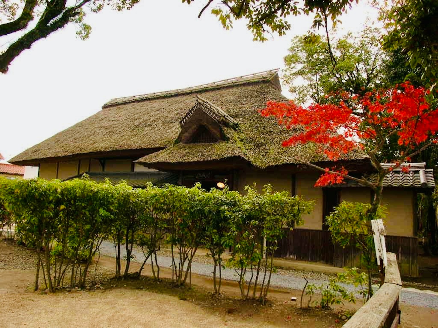 传统日本房屋外观与美丽的秋季 foliage